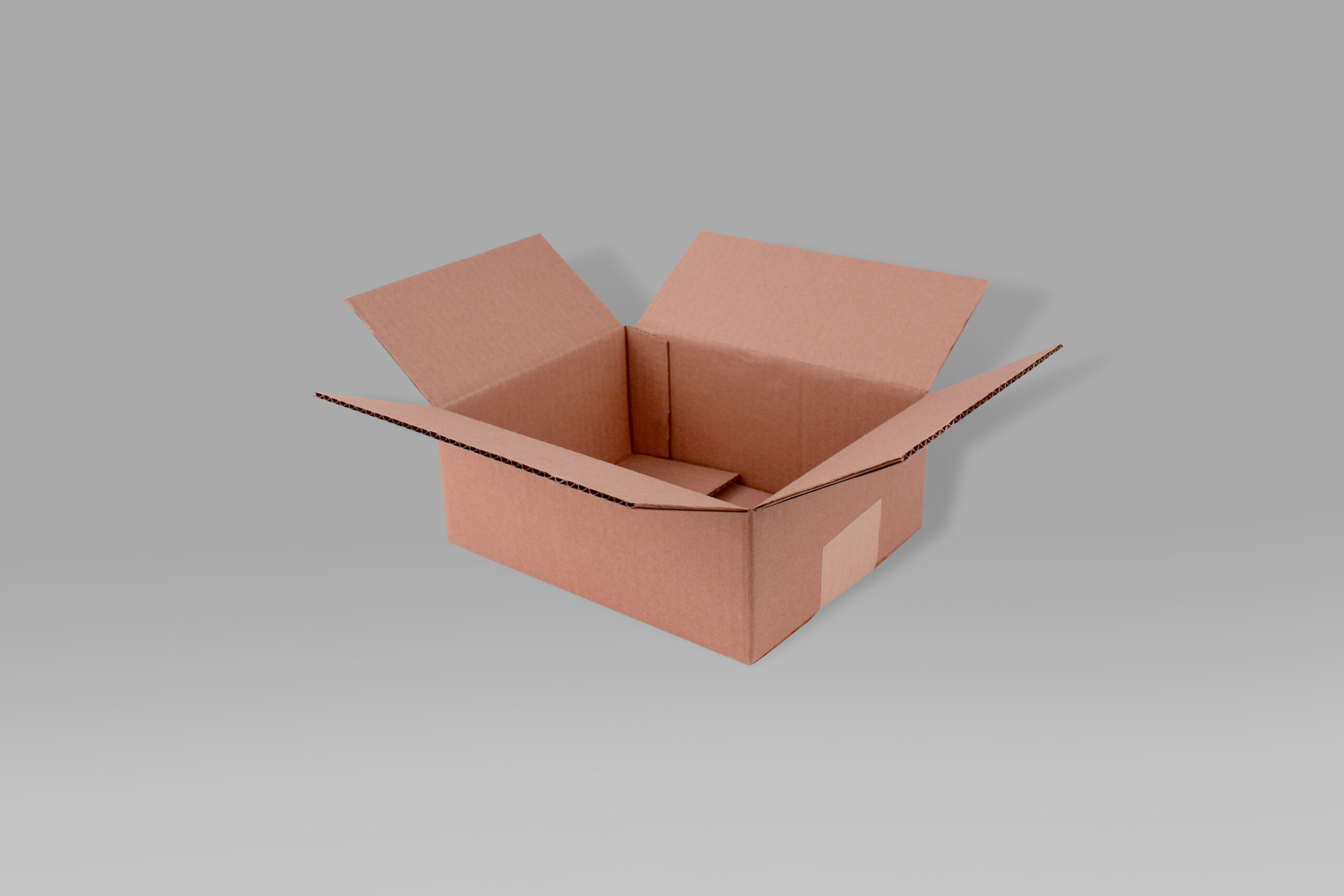 Caja St 22.0 X 14.5 X 9.6 cm – 10 Piezas