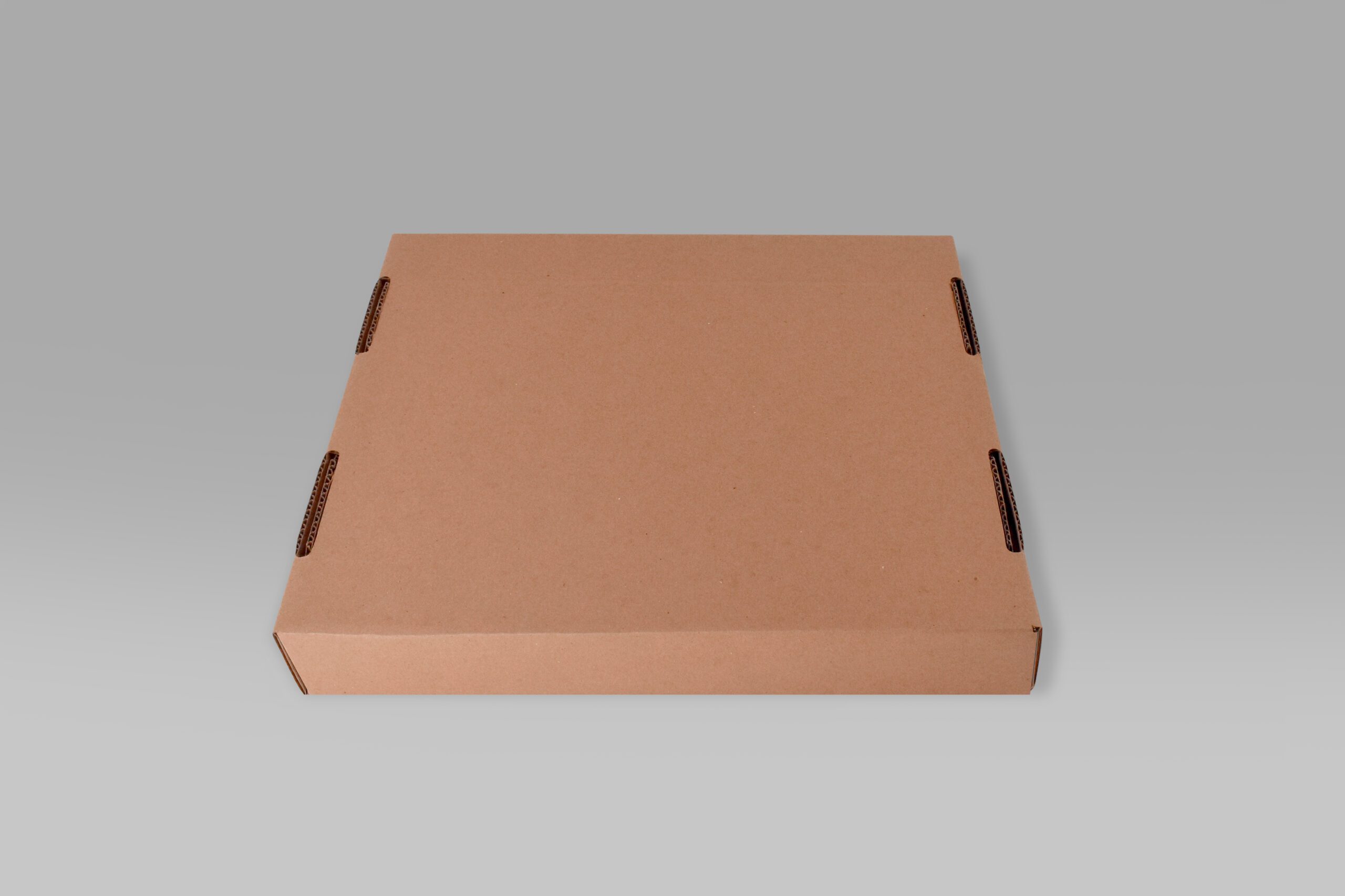 Charola para Alimentos con tapa 38x35x6 Charola de cartón 38x35x6 ecológica para alimentos.