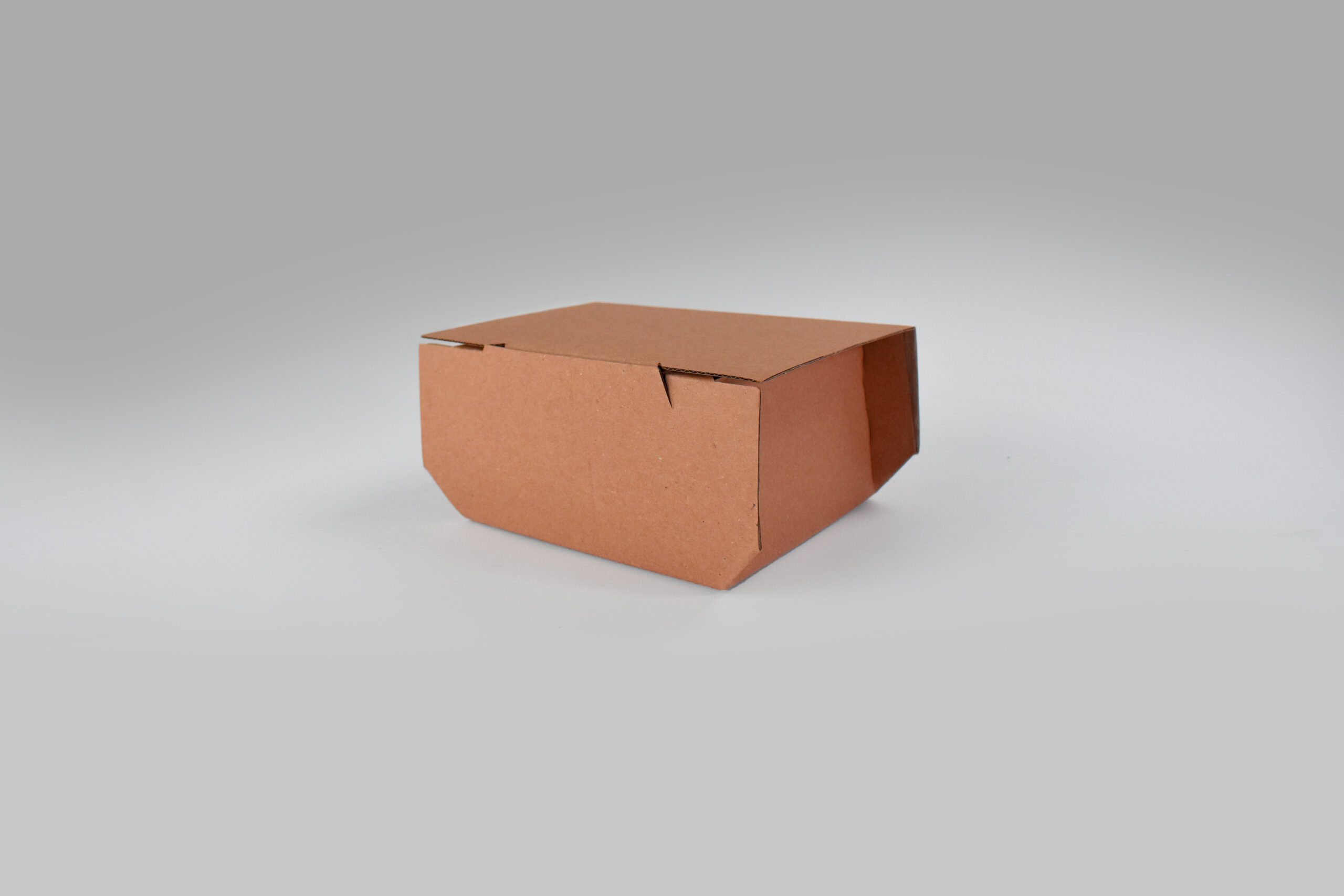 Contenedor 10 para alimentos Contenedor 10 para alimentos sobre pedido, cartón ecológico reciclable