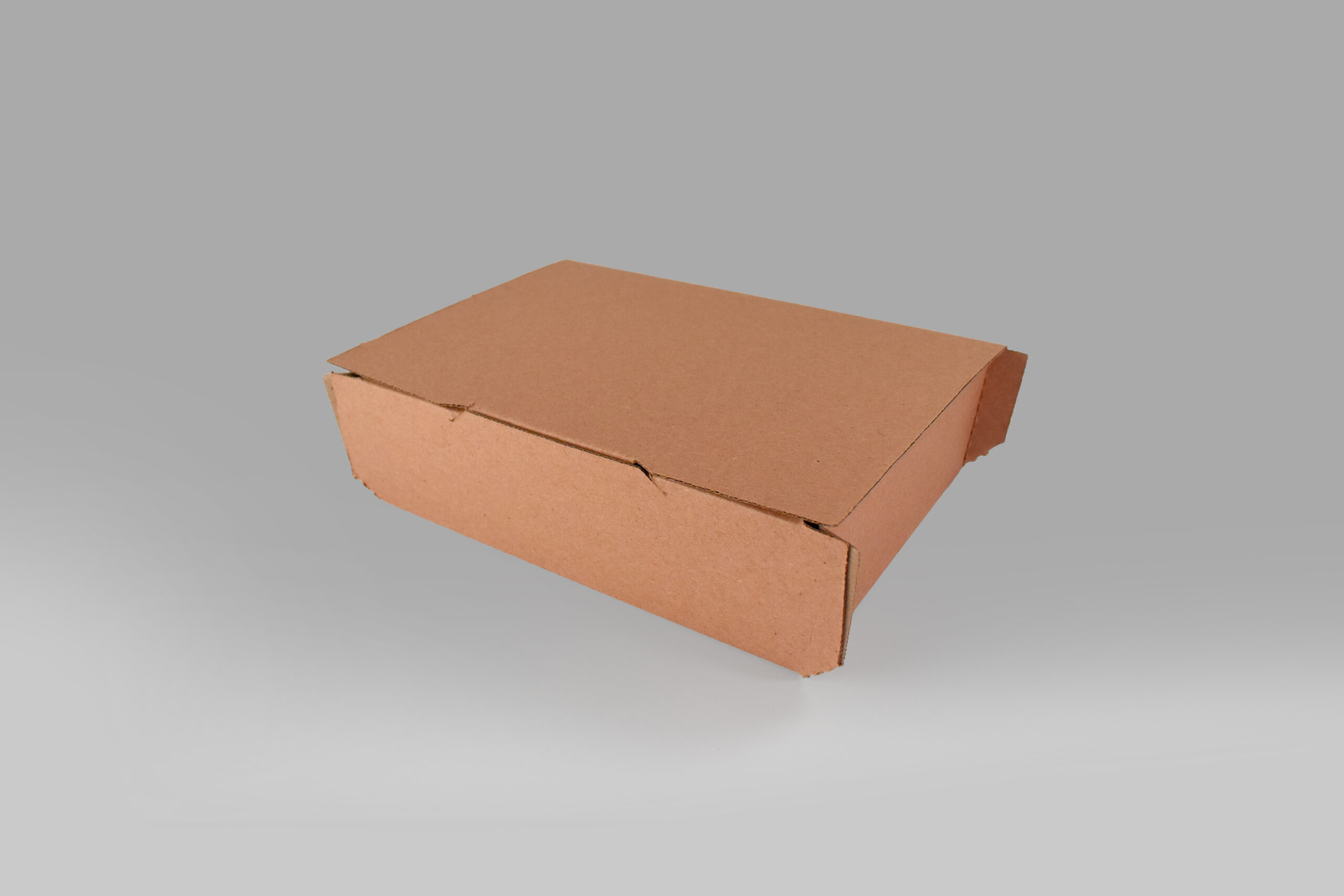 Contenedor 14 para alimentos Contenedor 14 de cartón ecológico para alimentos y delivery