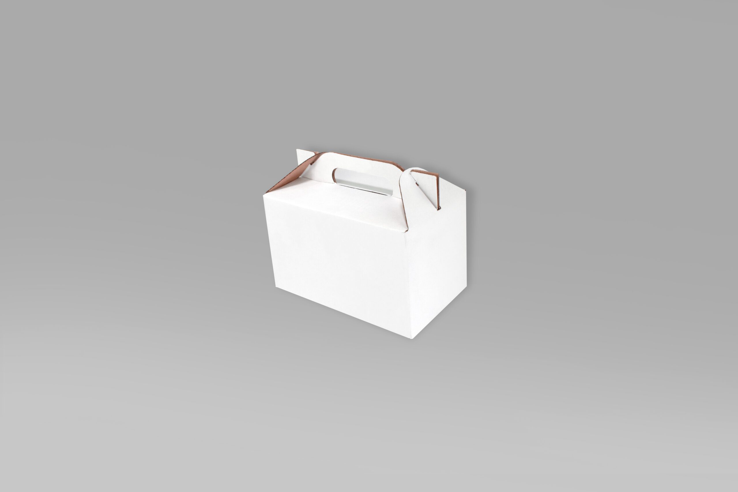 Lonchera 20x11.8x12 Lonchera ecológica para alimentos 20x11.8x12