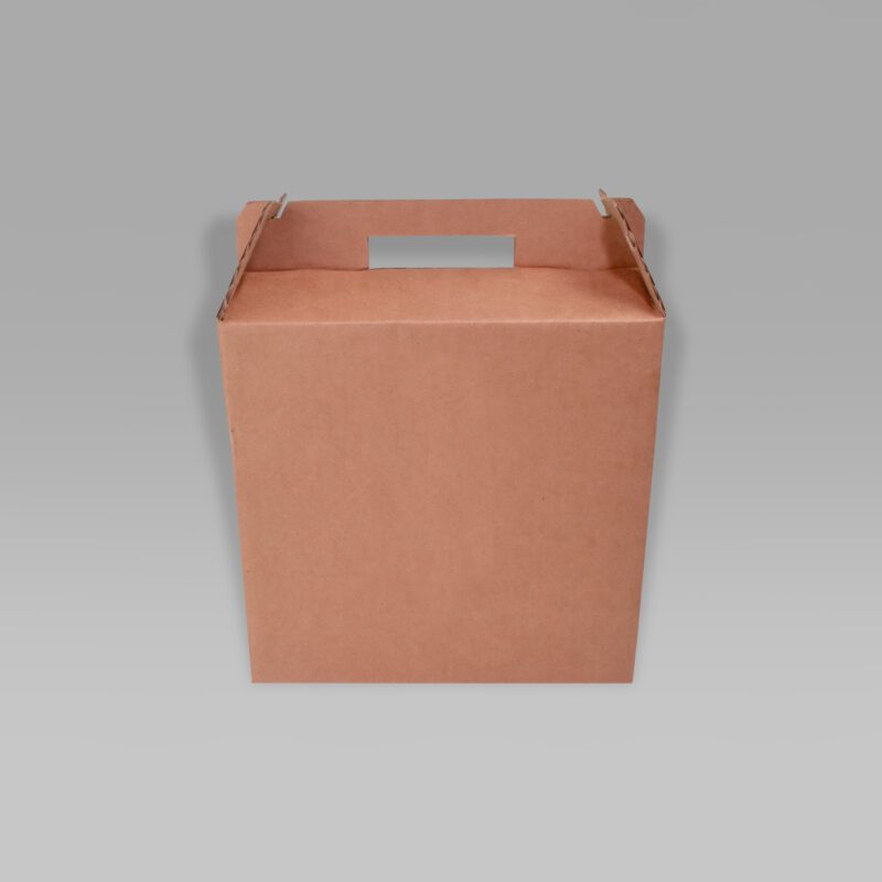 Lonchera 21.5x11.5x21.5 Lonchera ecológica para alimentos 21.5x11.5x21.5