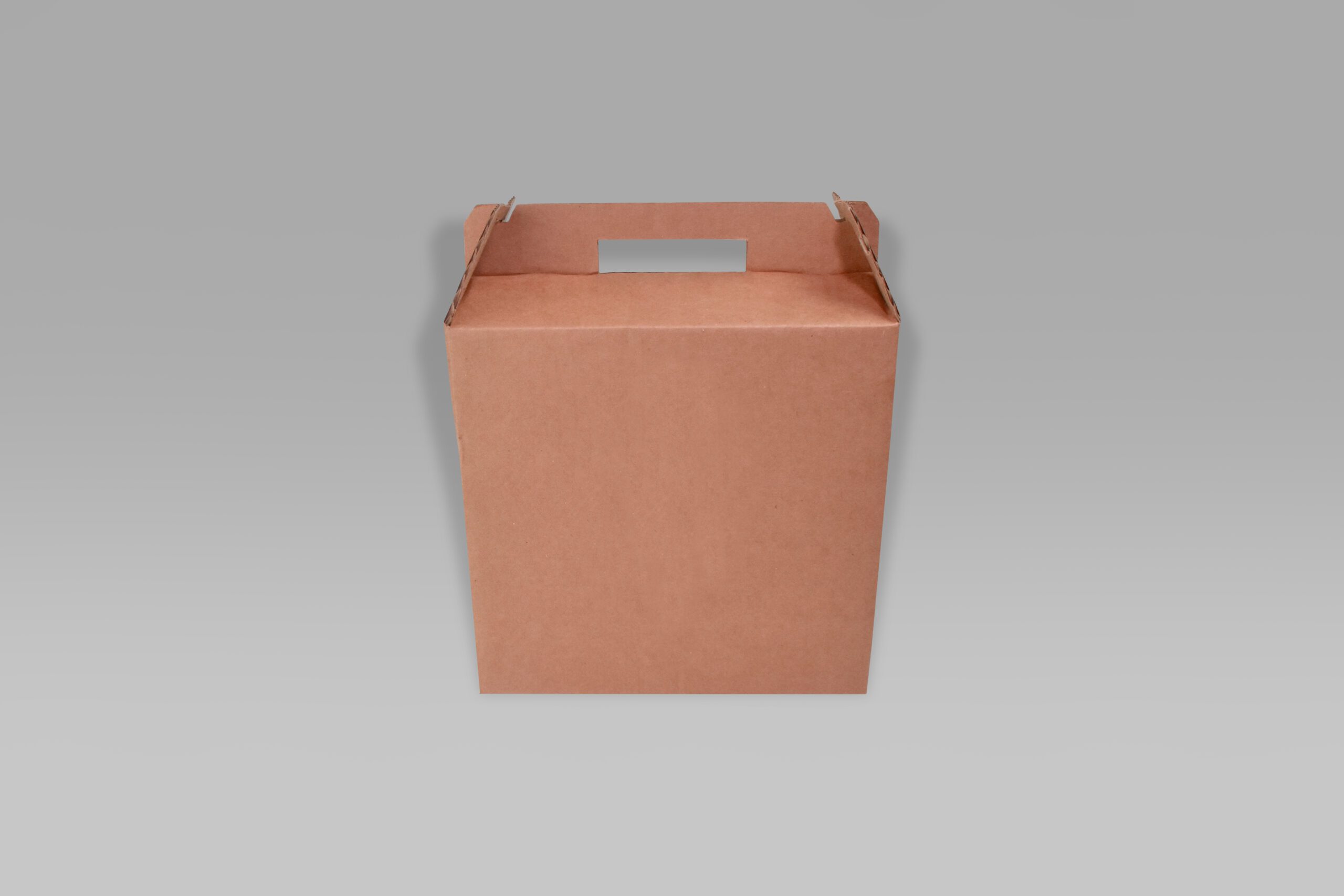 Lonchera 21.5x11.5x21.5 Lonchera ecológica para alimentos 21.5x11.5x21.5