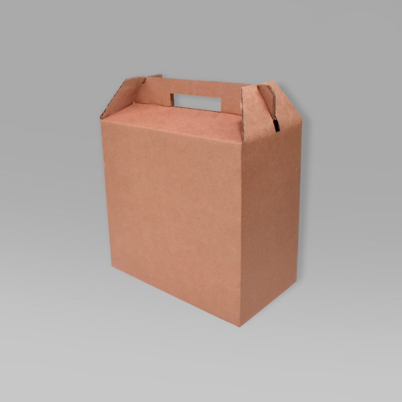 Lonchera ecológica para alimentos 21.5x11.5x21.5