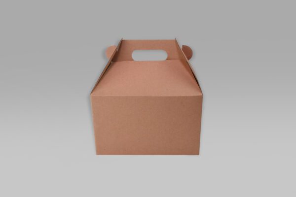Lonchera ecológica para alimentos 22.3x15x15