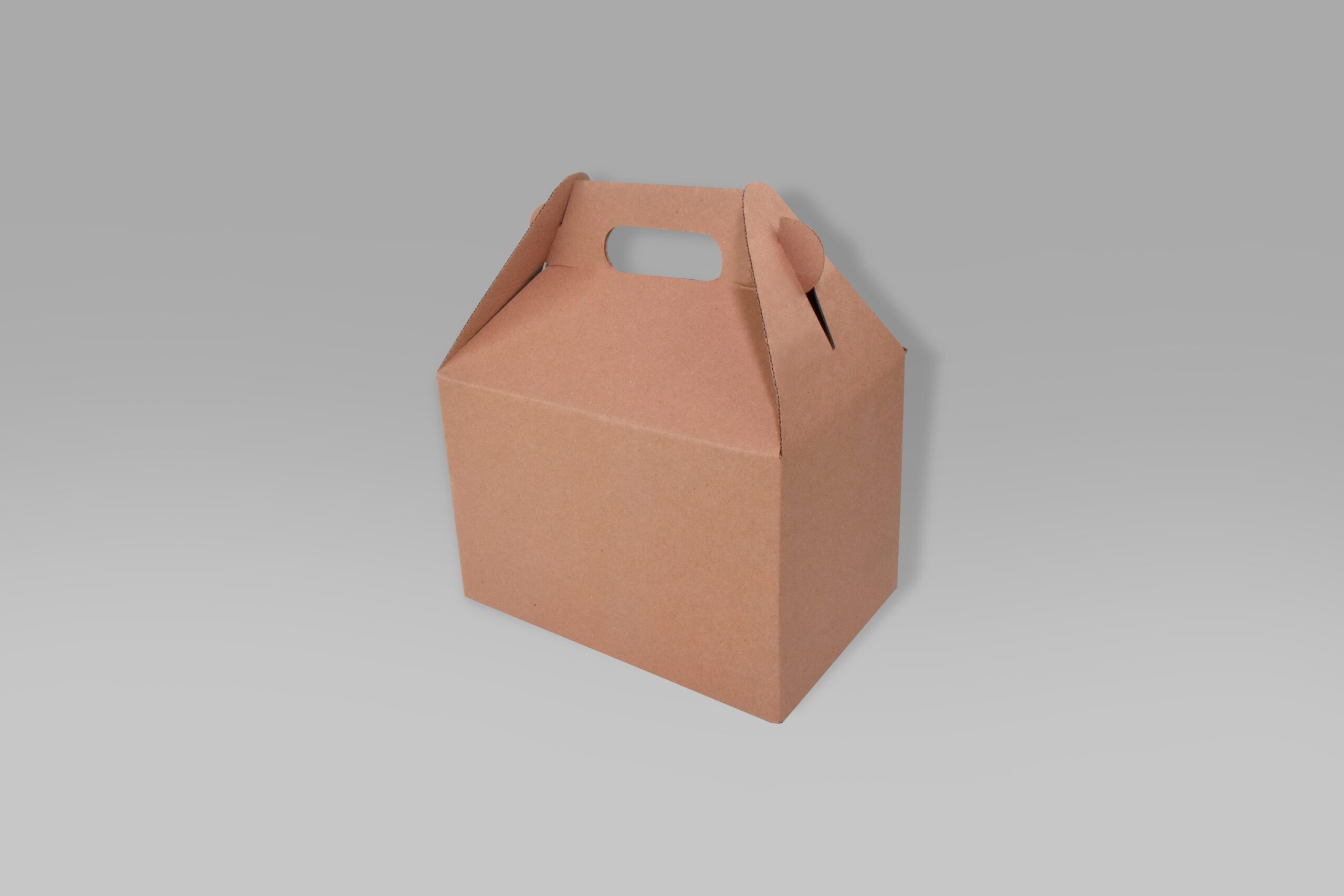 Lonchera 22.3x15x15 Lonchera ecológica para alimentos 22.3x15x15