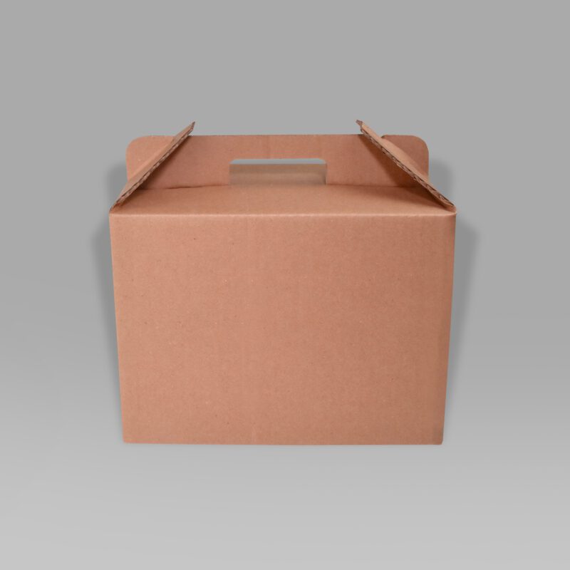 Lonchera 27.8x17.3x20 Lonchera ecológica para alimentos 27.8x17.3x20