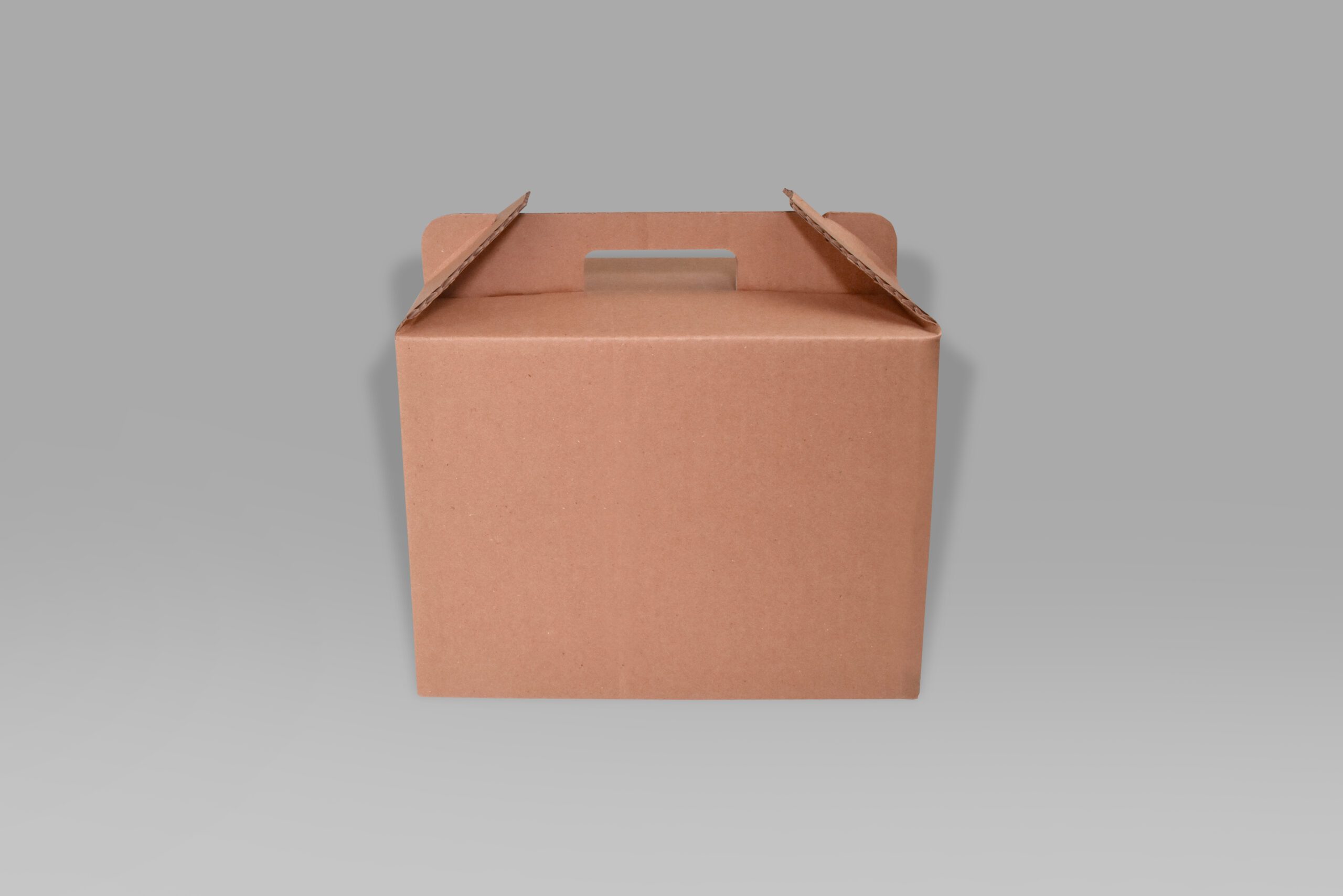 Lonchera 27.8x17.3x20 Lonchera ecológica para alimentos 27.8x17.3x20