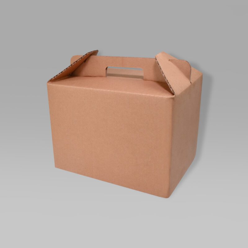 Lonchera ecológica para alimentos 27.8x17.3x20