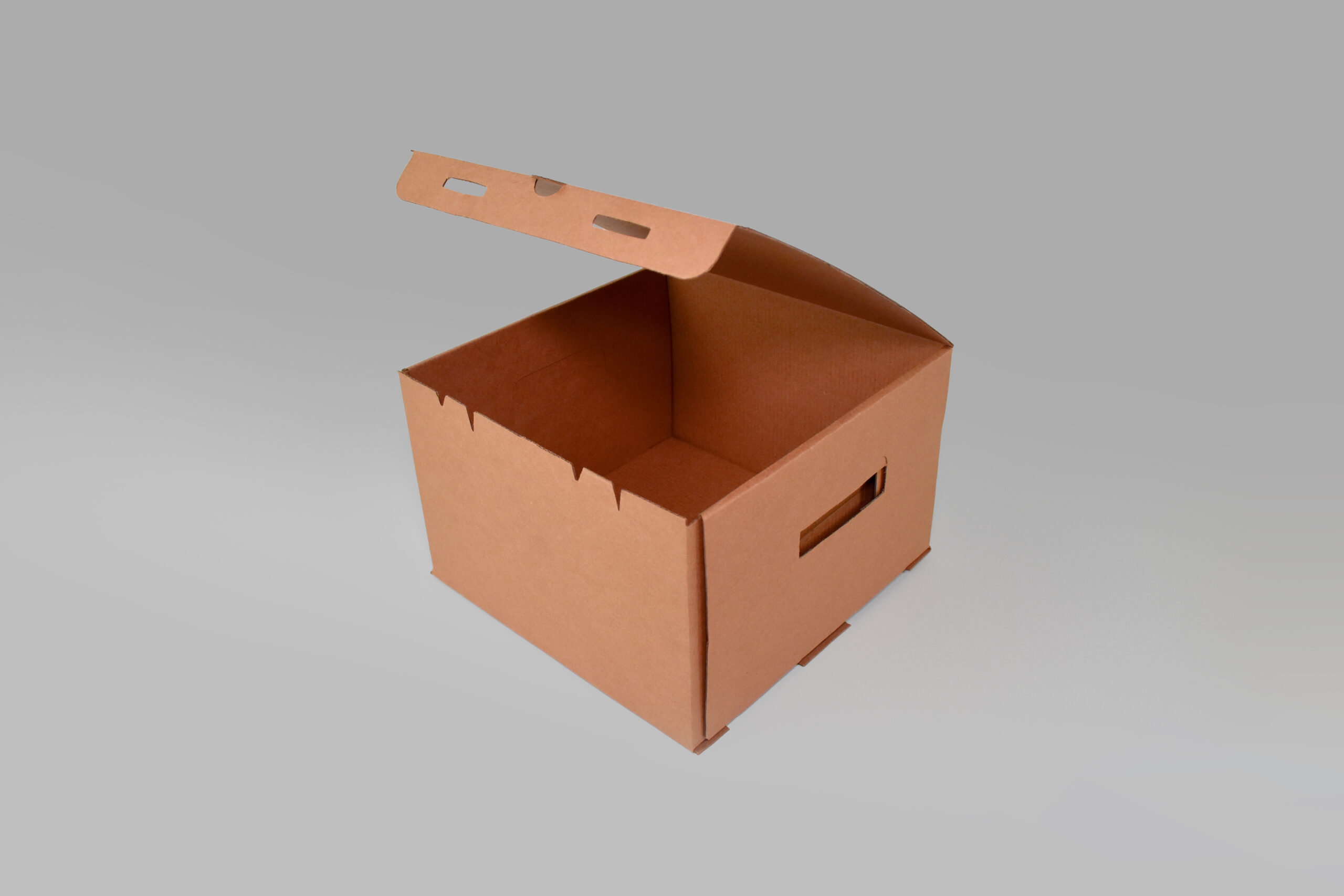 Contenedor T-4 Contenedor T-4 para 4 recipientes de litro o gorras, maximiza la protección de tus productos en todo momento.