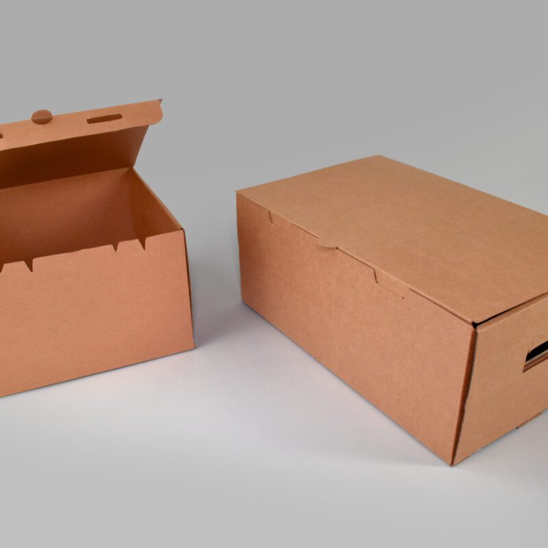 Contenedor T-4 Contenedor para 4 o 6 recipientes de litro o gorras, maximiza la protección de tus productos en todo momento.