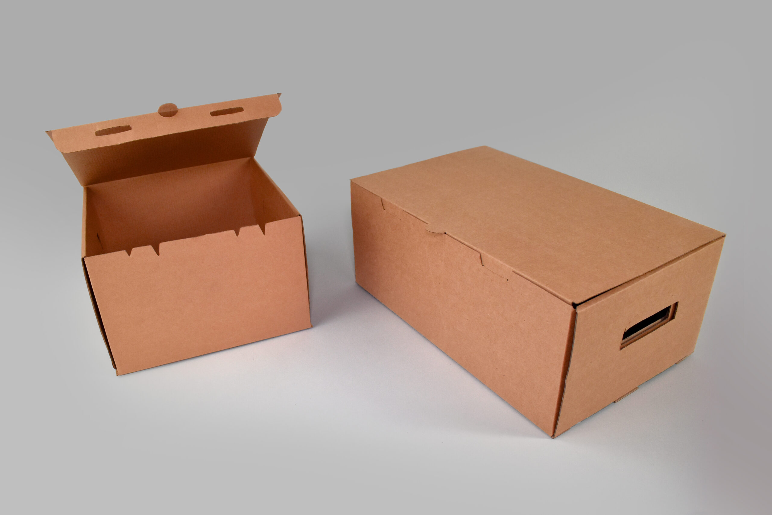 Contenedor T-4 Contenedor para 4 o 6 recipientes de litro o gorras, maximiza la protección de tus productos en todo momento.