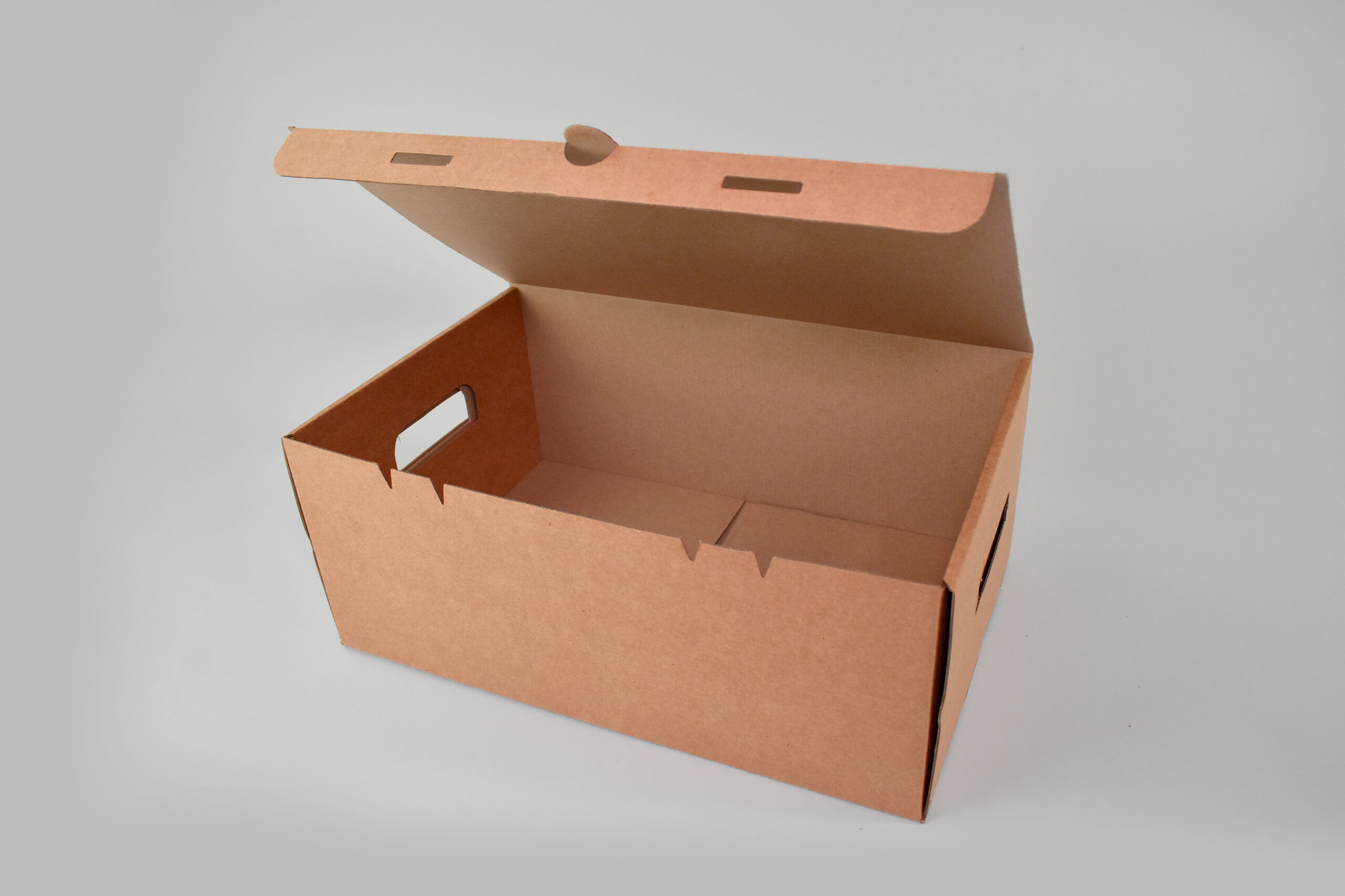 Contenedor T-4 Contenedor T-6 para 6 recipientes de litro, maximiza la protección de tus productos en todo momento.