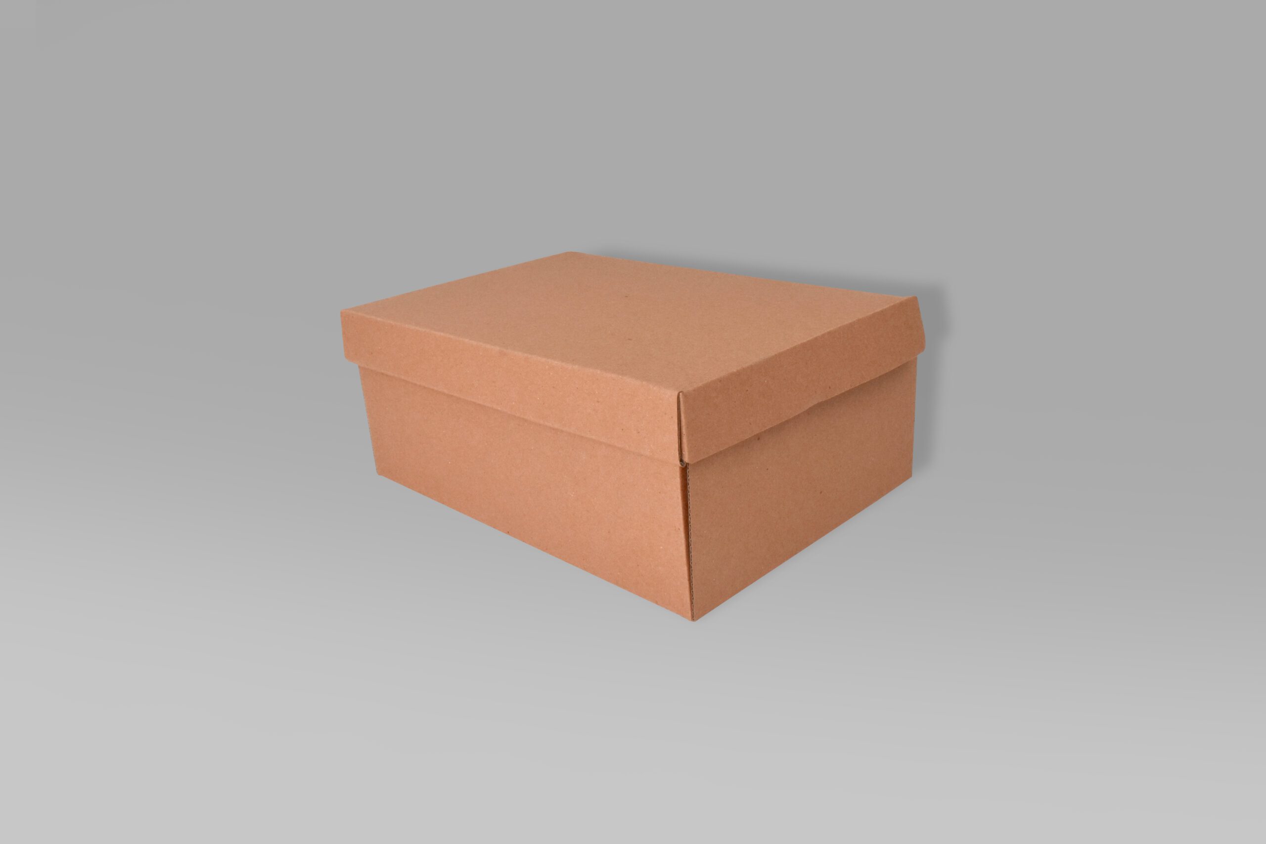 Caja para zapatos 25.5x18.5x10.5 Caja para zapatos ecológica 25.5x18.5x10.5