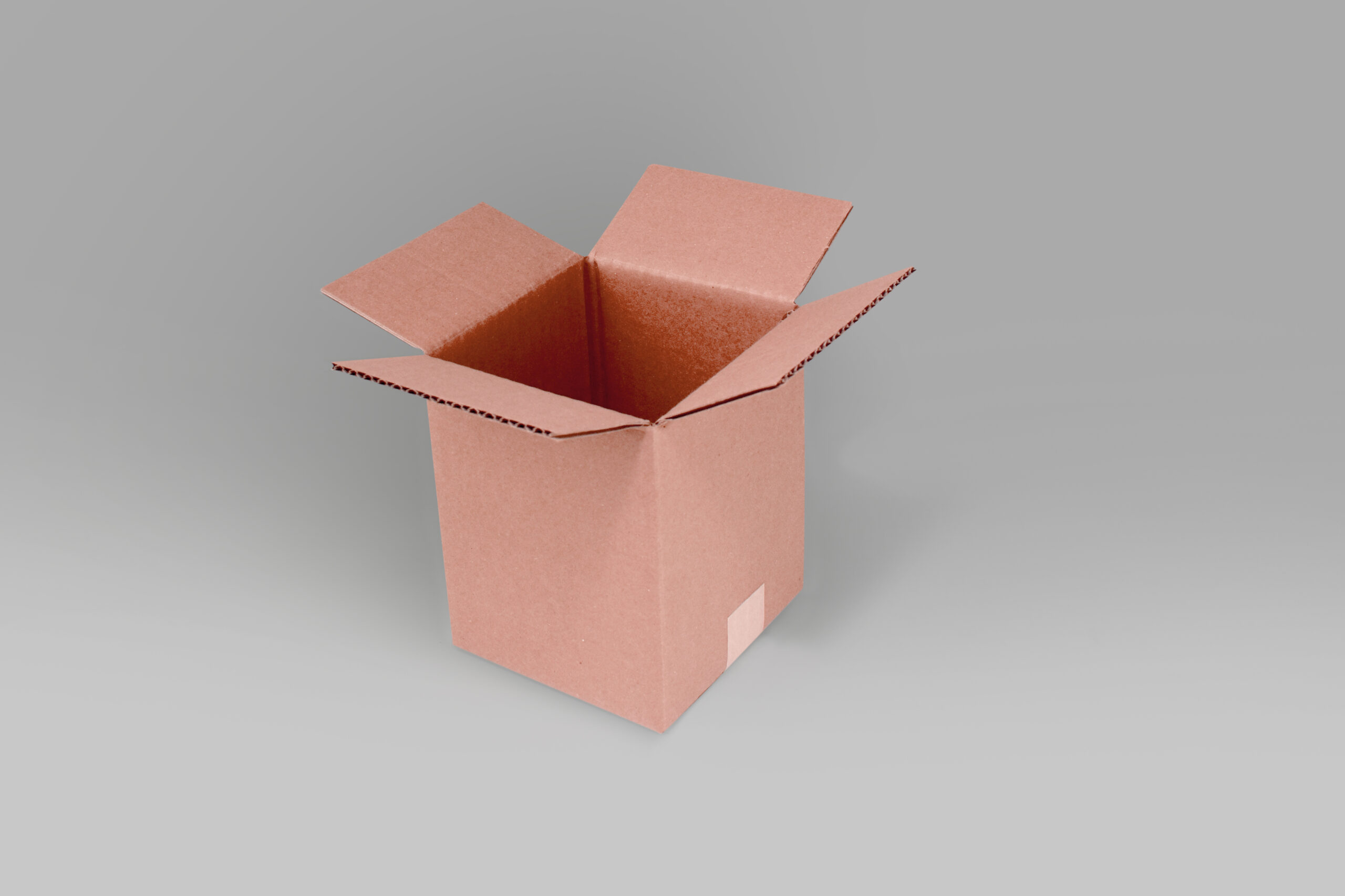 Caja St 12.0 X 12.0 X 15.0 cm – 10 Piezas