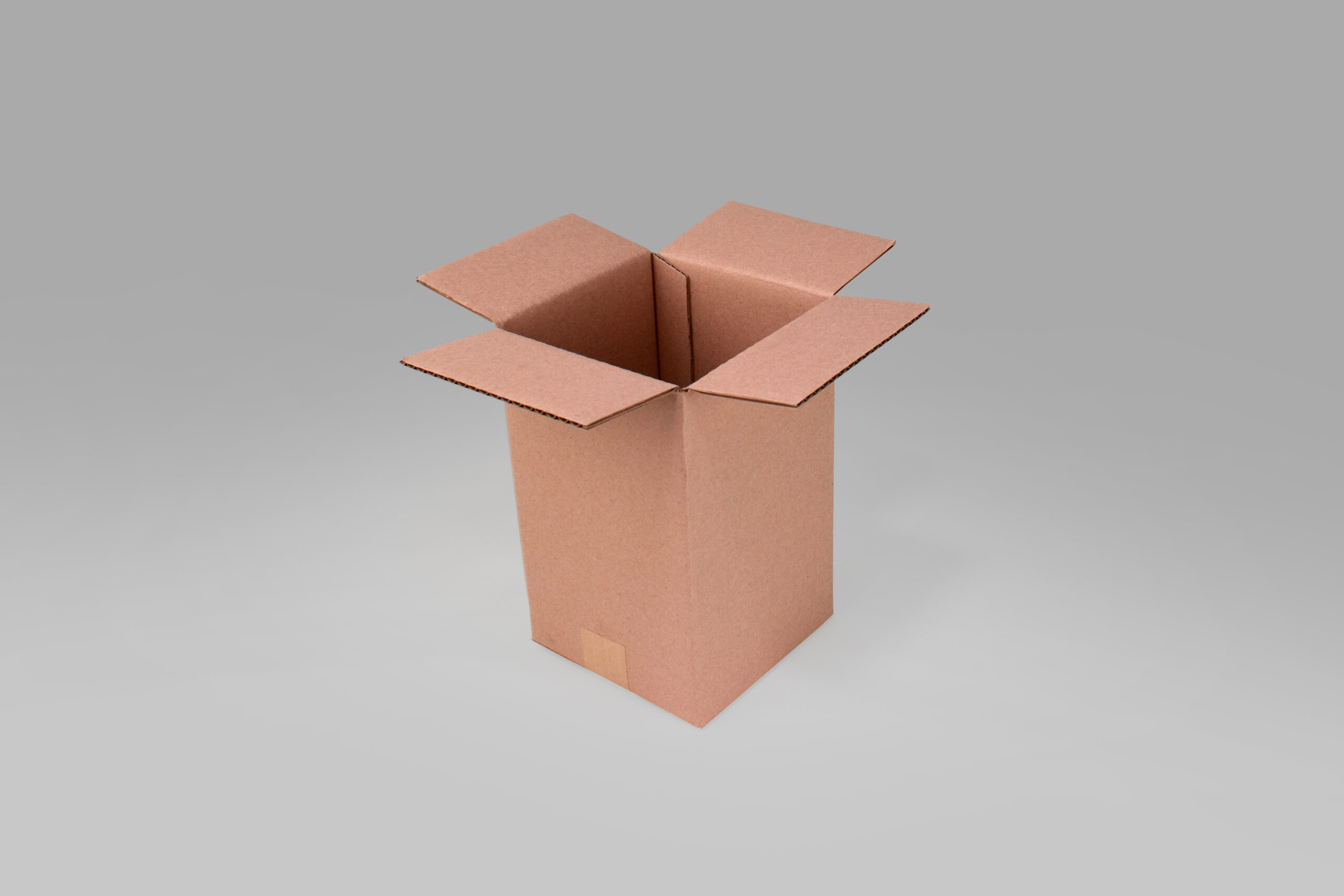 Caja St 13.5 X 13.5 X 21.4 cm – 10 Piezas