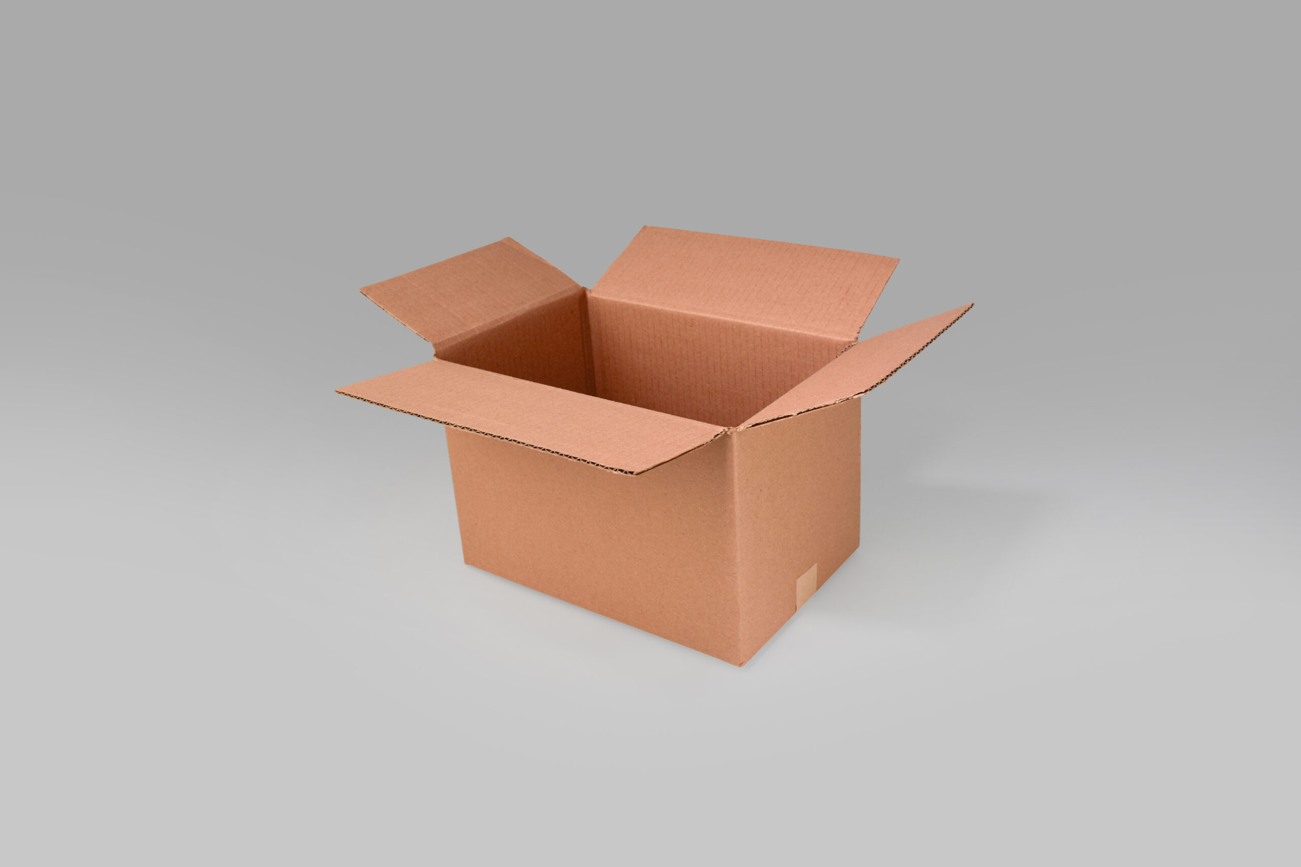 Caja St 30.0 X 20.3 X 20.3 cm – 10 Piezas
