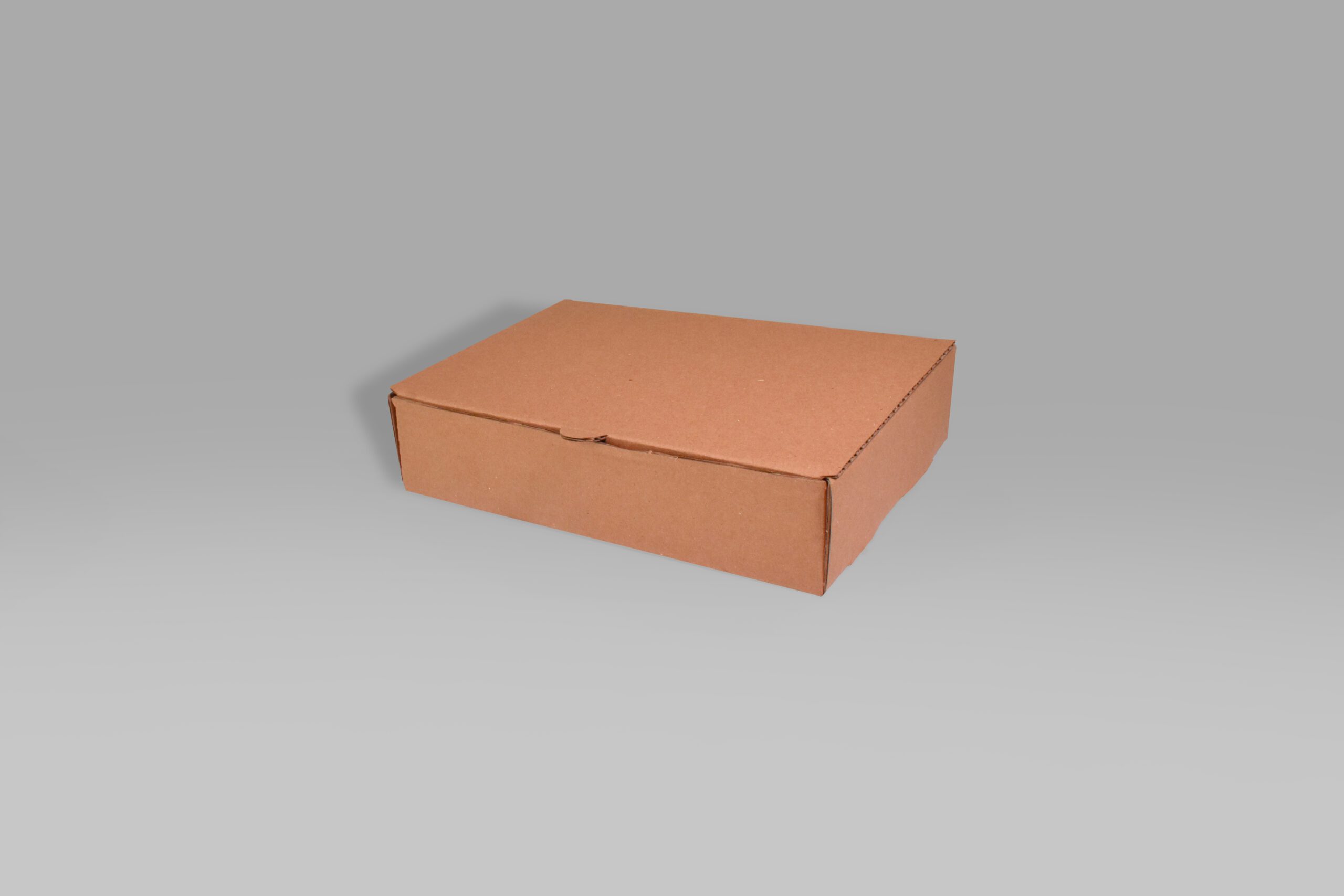 Caja Armable 21.5x15.6x5 para envíos Caja armable de cartón para envíos y entregas