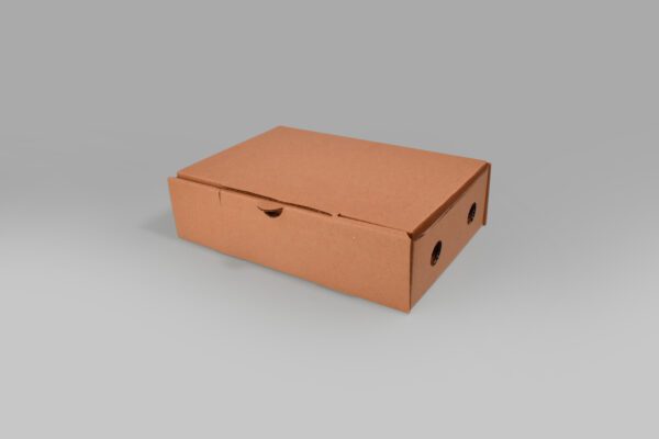 Caja armable de cartón para envíos y entregas