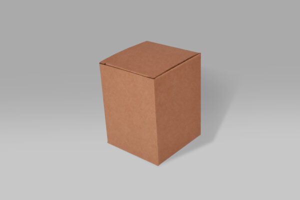 Caja armable de cartón para envíos y entregas