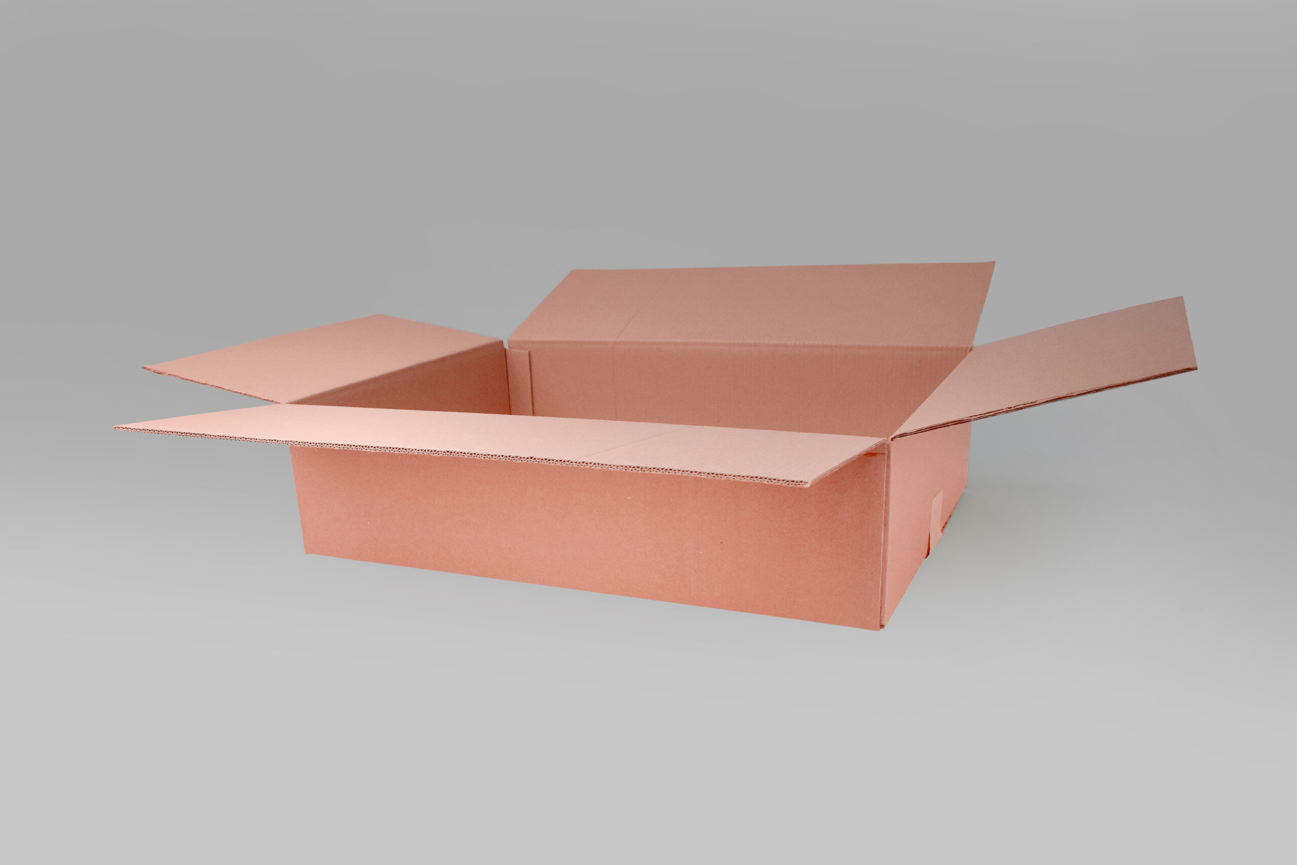 Caja St 70.0 X 50.0 X 17.0 cm Reforzada – 5 Piezas