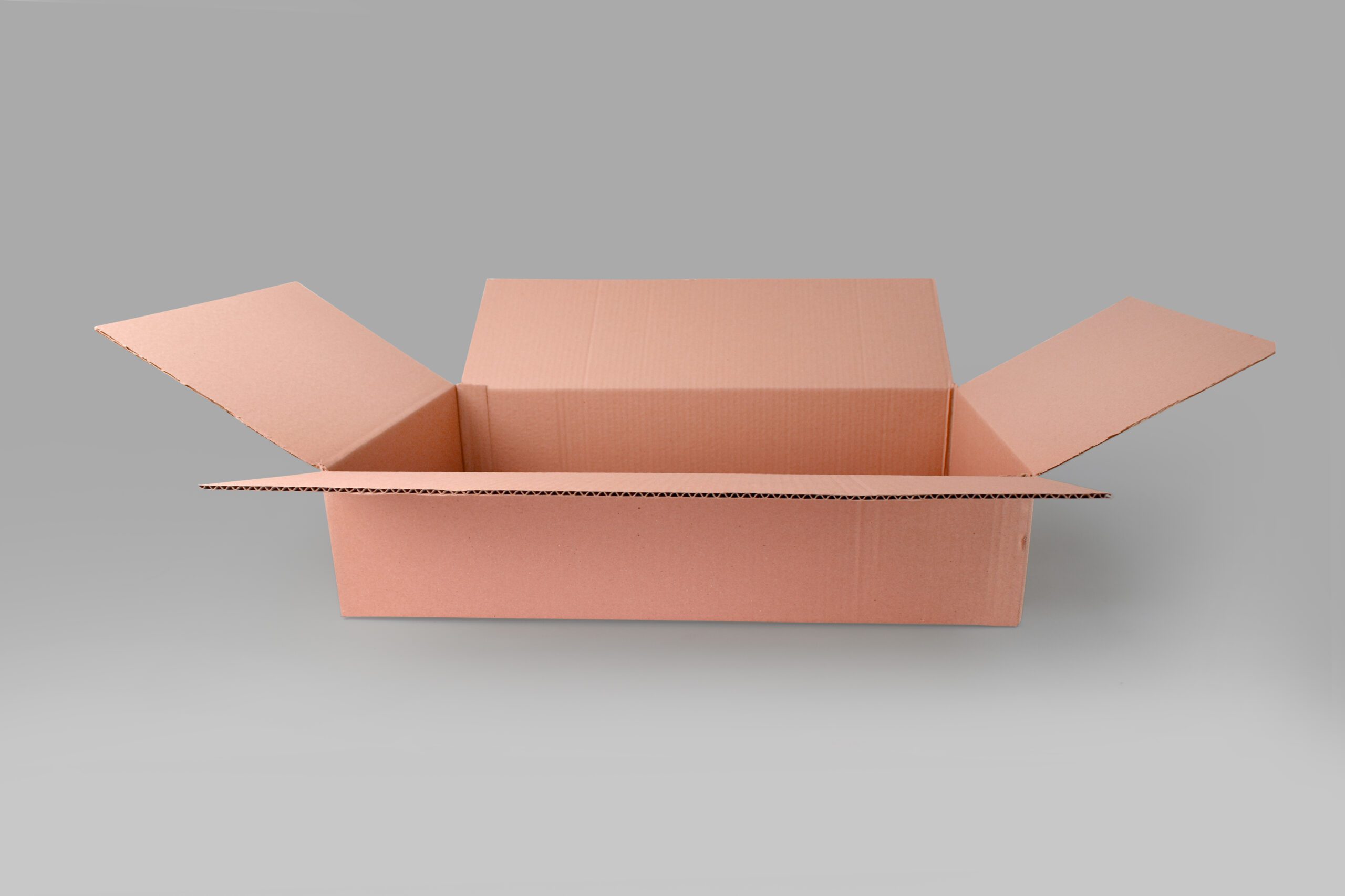 Caja baja para almacenamiento y envíos