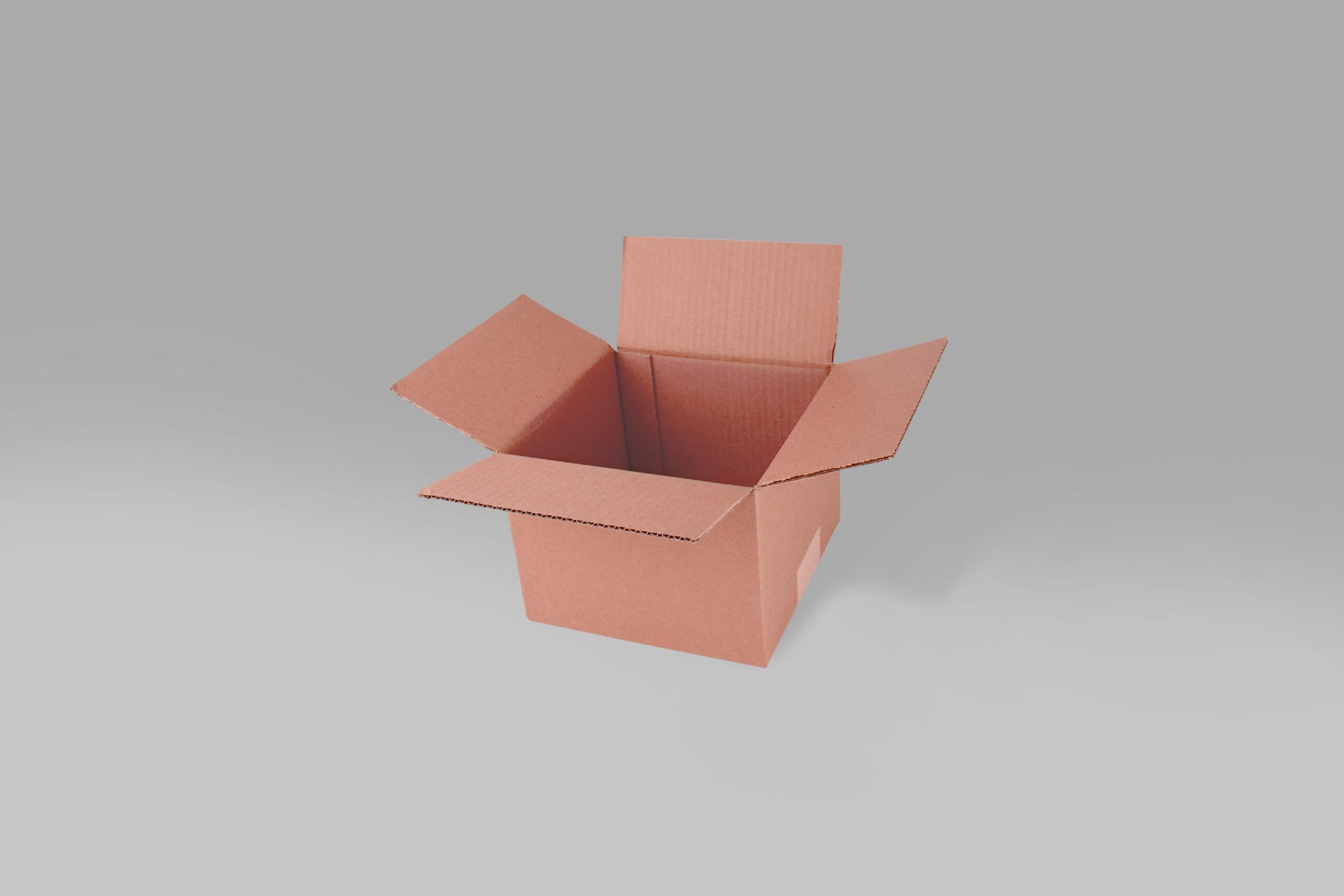 Caja St 22.0 X 22.0 X 15.1 cm -10 Piezas