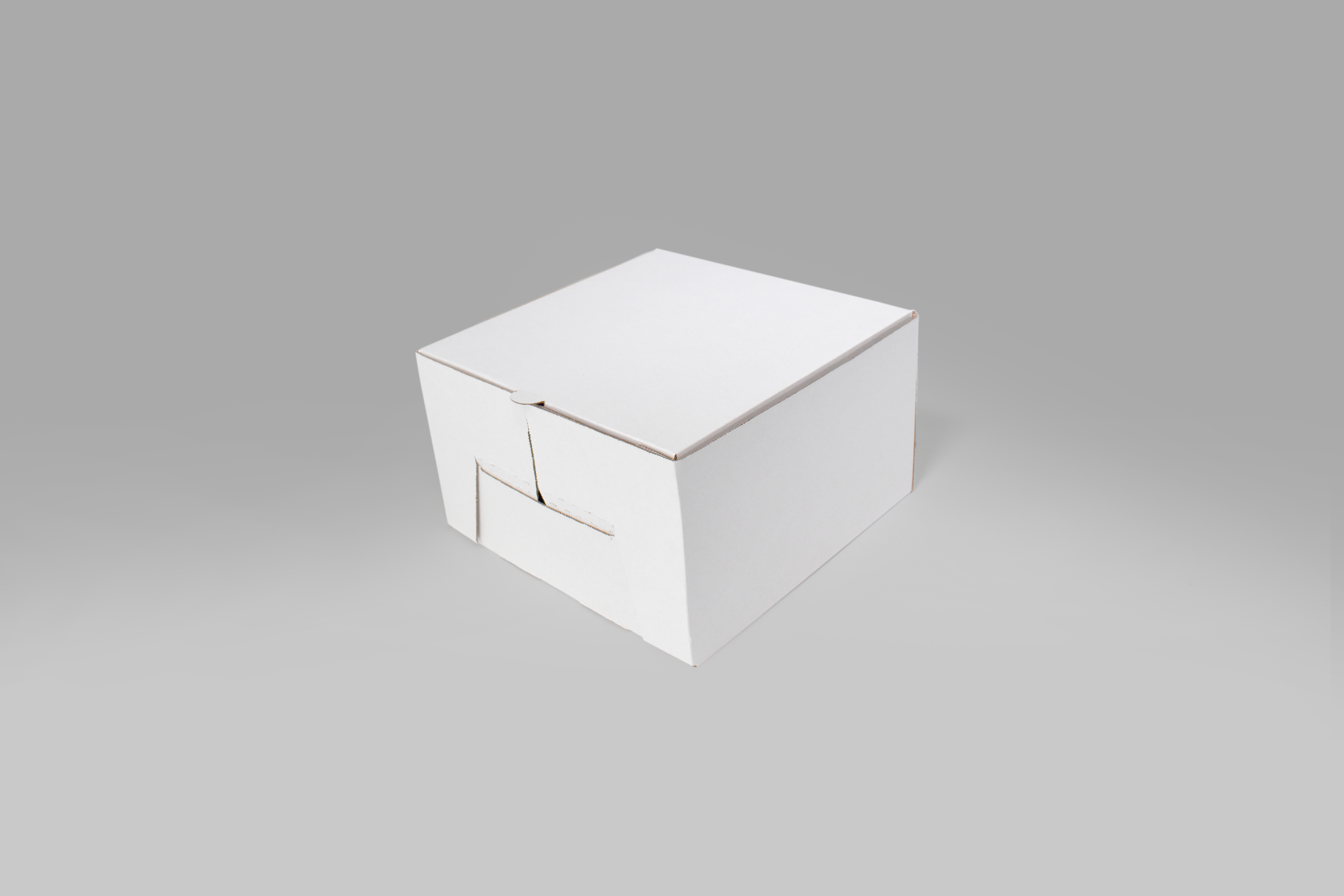 Caja para pastel de 10 pulgadas resistente y ecológica