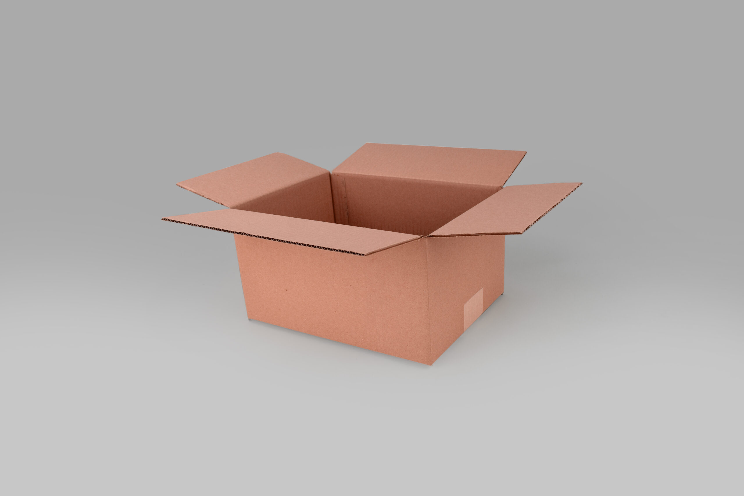 Caja St 35.0 X 26.3 X 18.0 cm – 10 Piezas