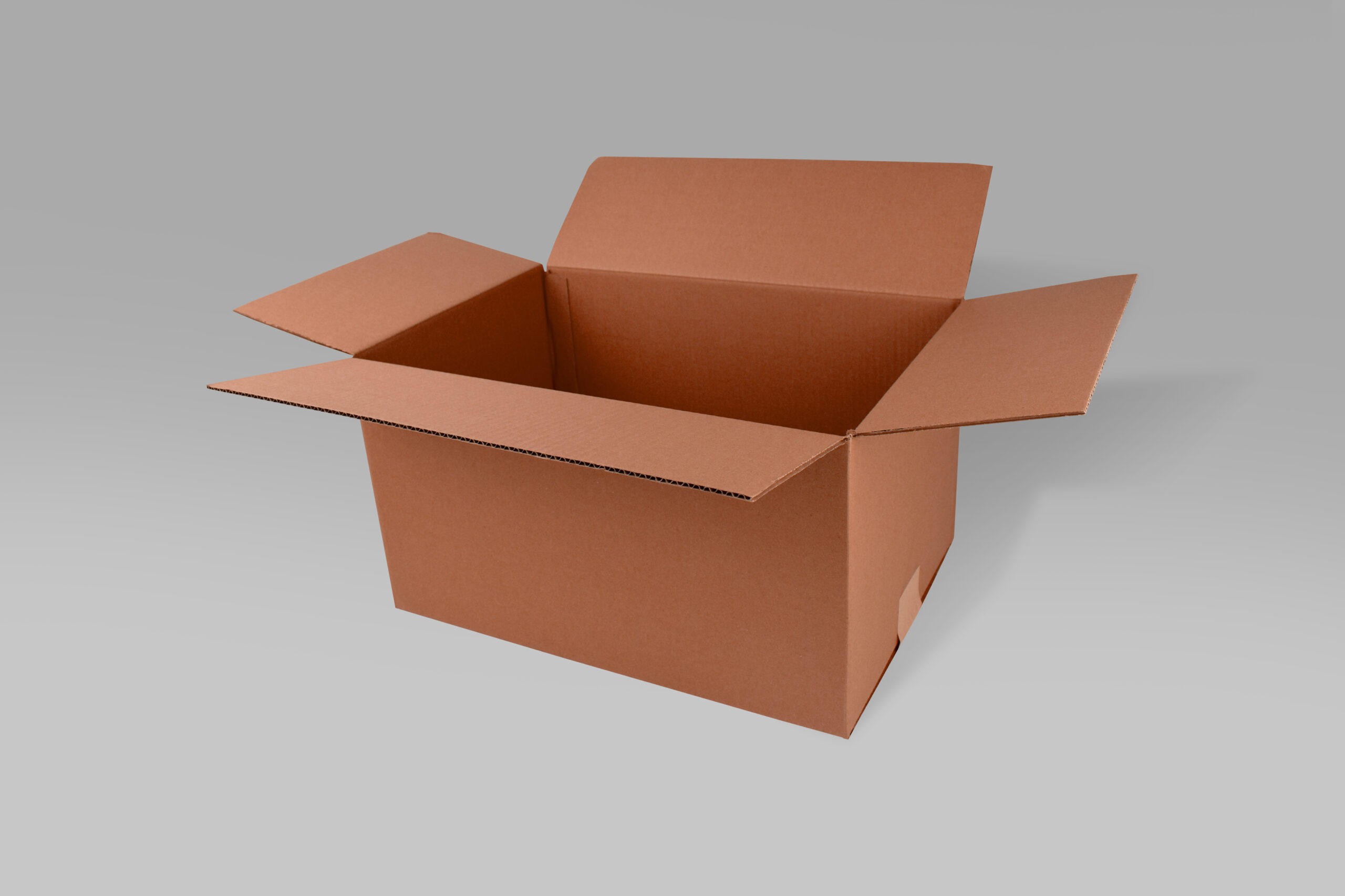 Caja St 45.0 X 30.0 X 26.0 cm – 10 Piezas