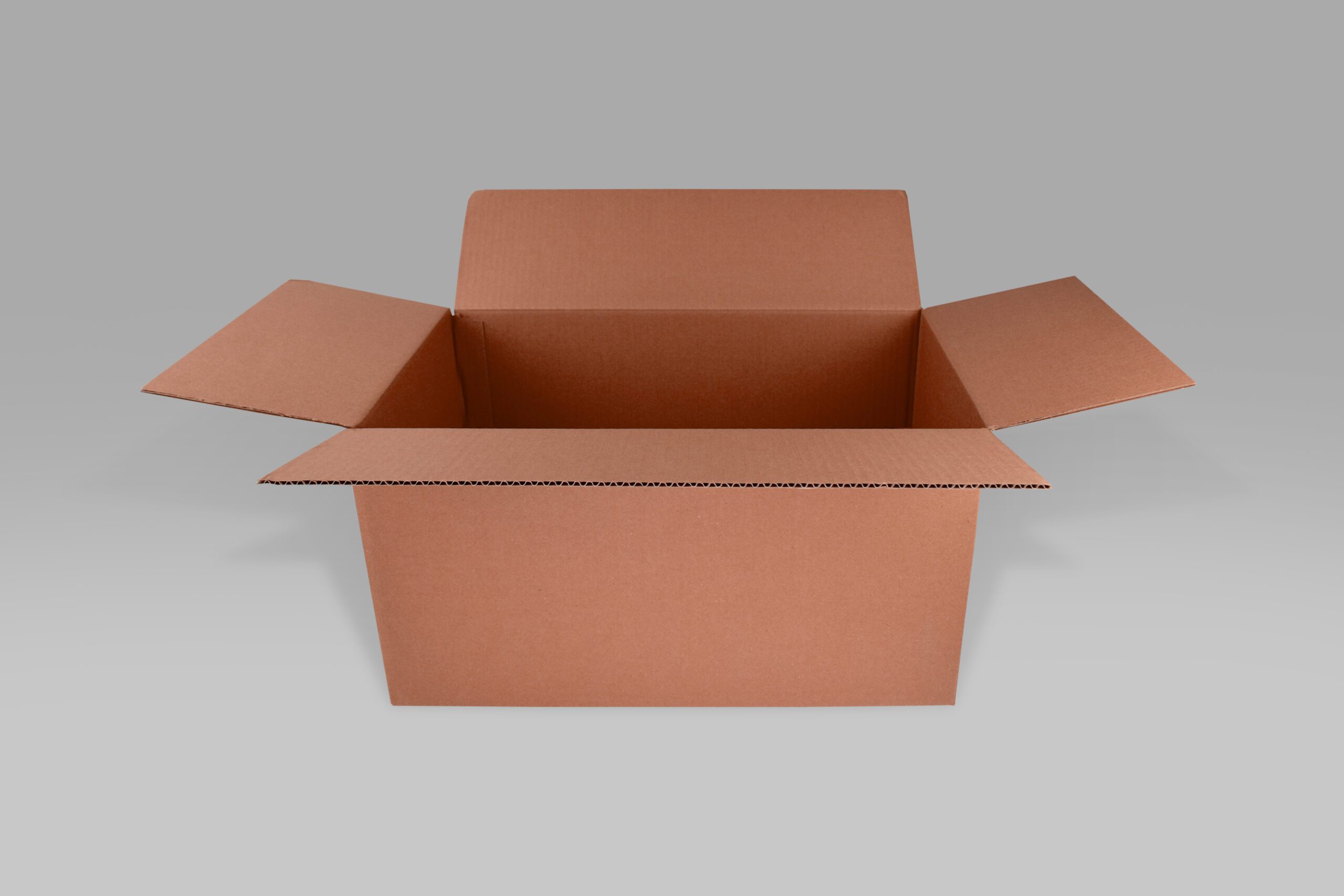 Caja rectangular para almacenamiento y envíos