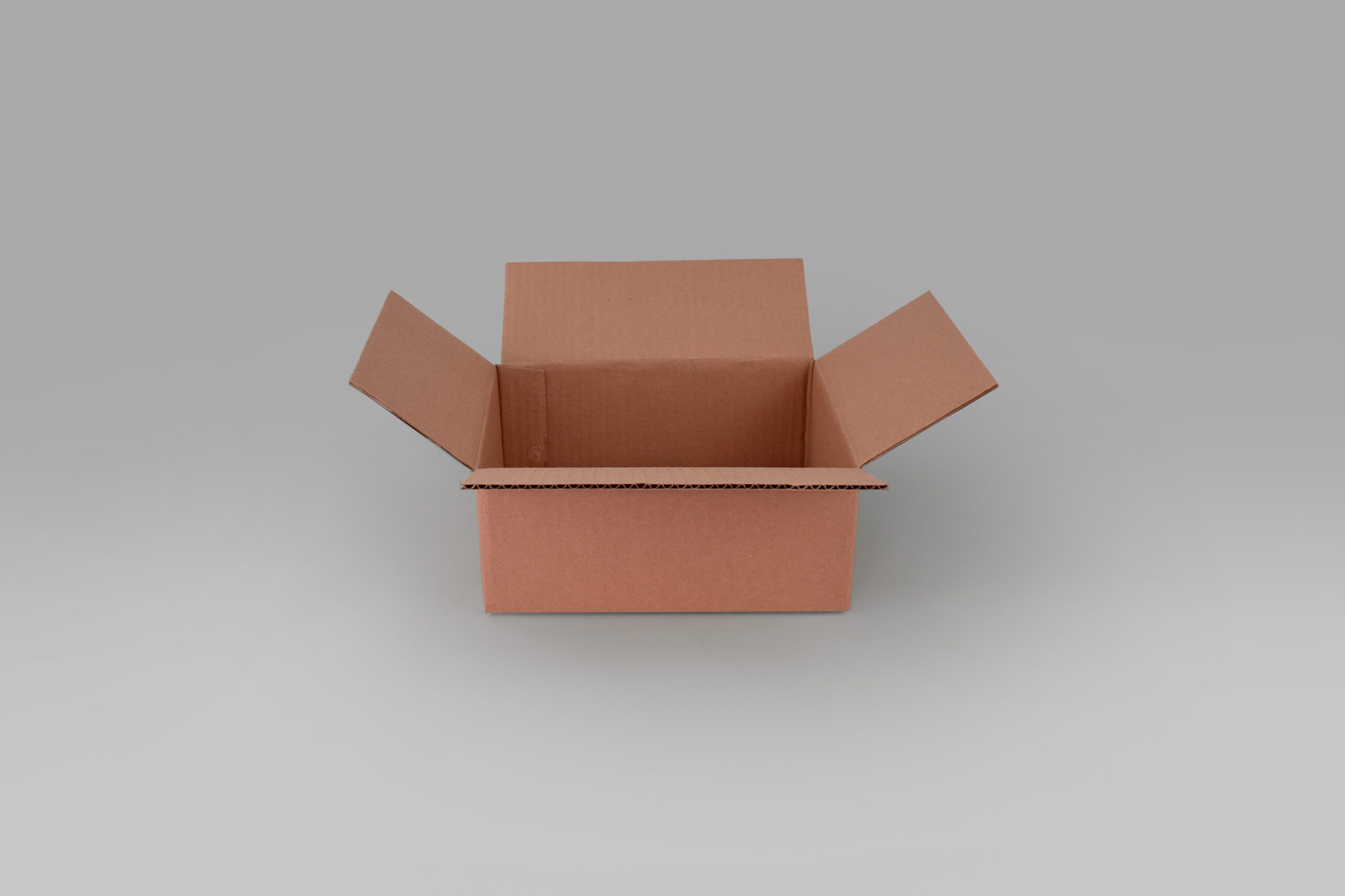 Caja rectangular para almacenamiento y envíos
