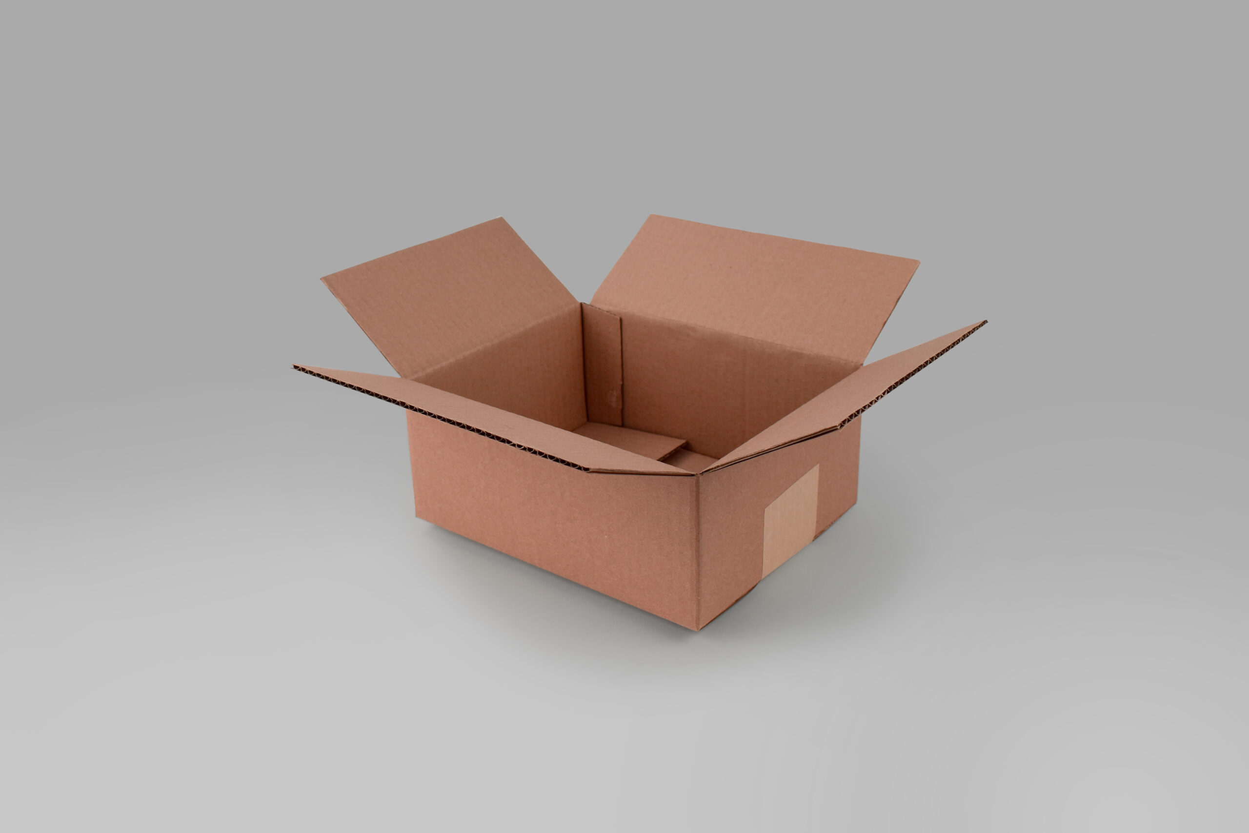 Caja St 25.0 X 20.0 X 10.0 cm – 10 Piezas