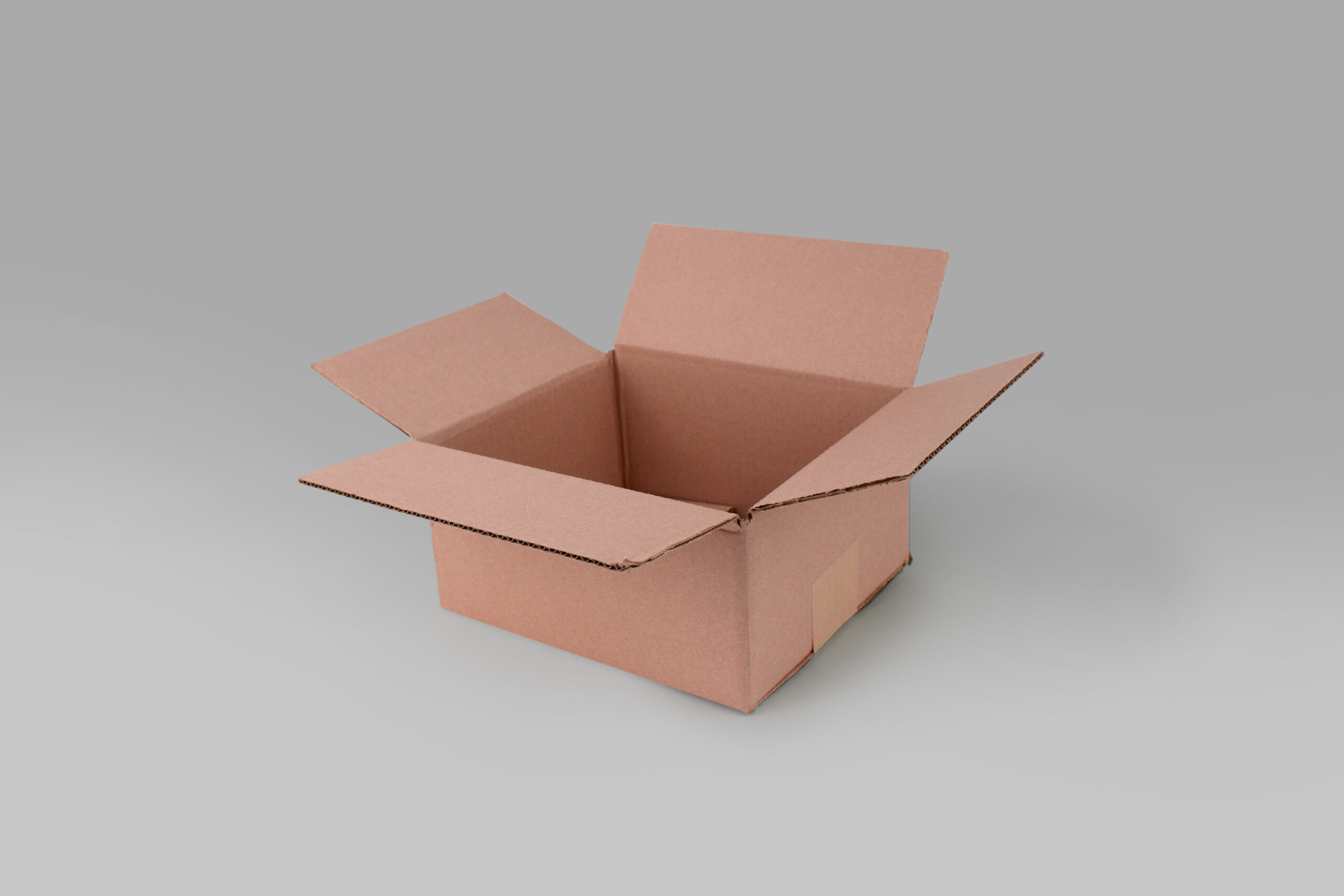Caja St 27.5 X 23.0 X 12.5 cm – 10 Piezas