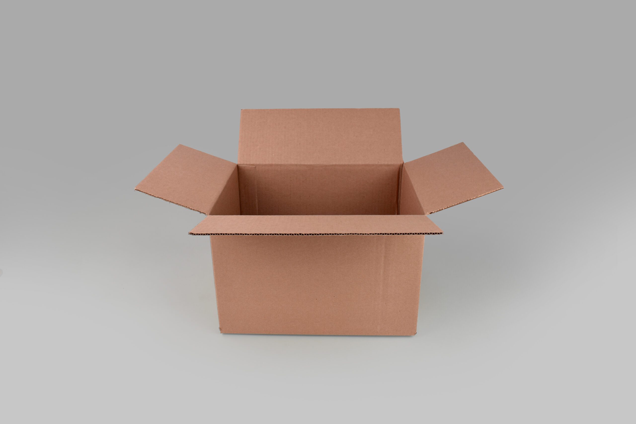 Caja rectangular para almacenamiento y envíos