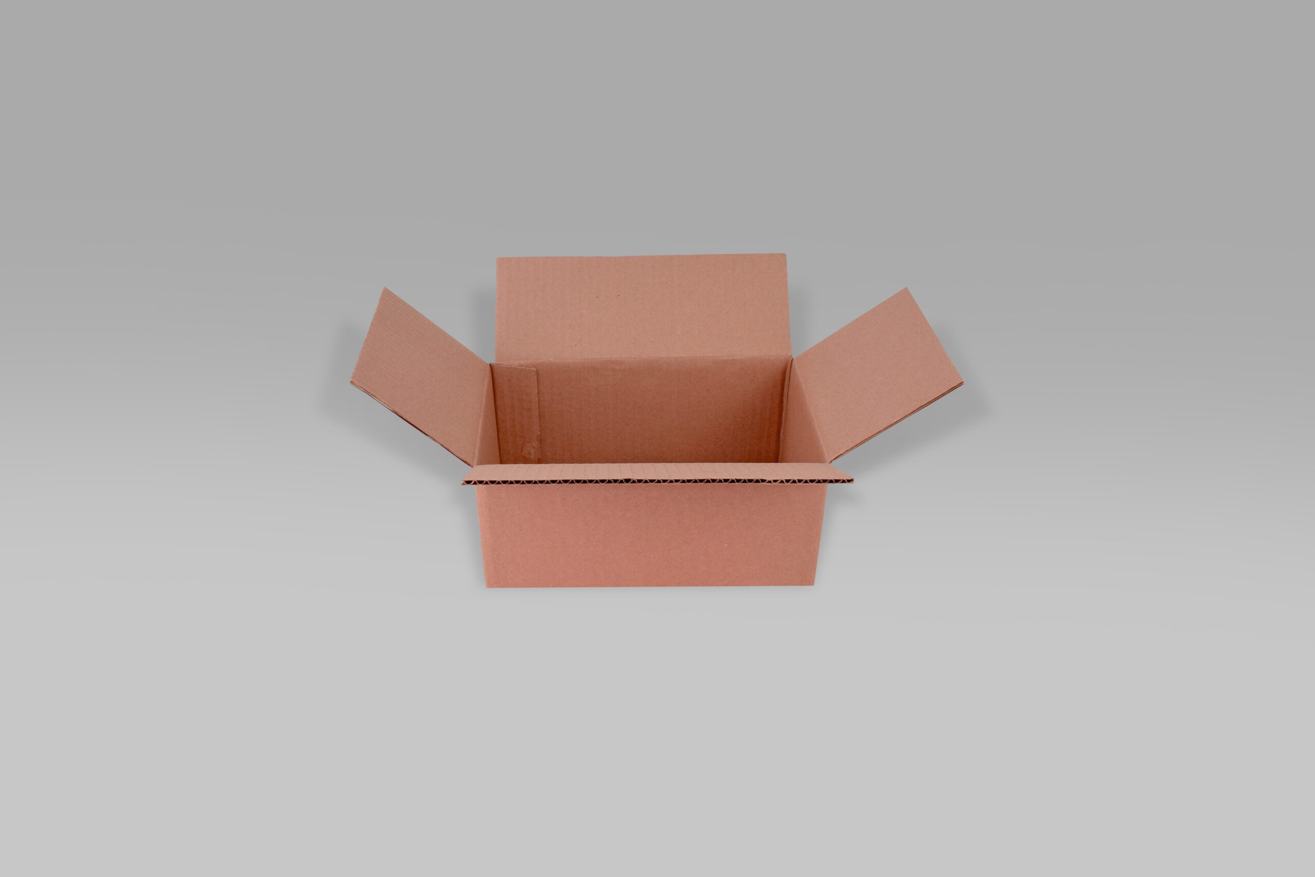 Caja rectangular para almacenamiento y envíos