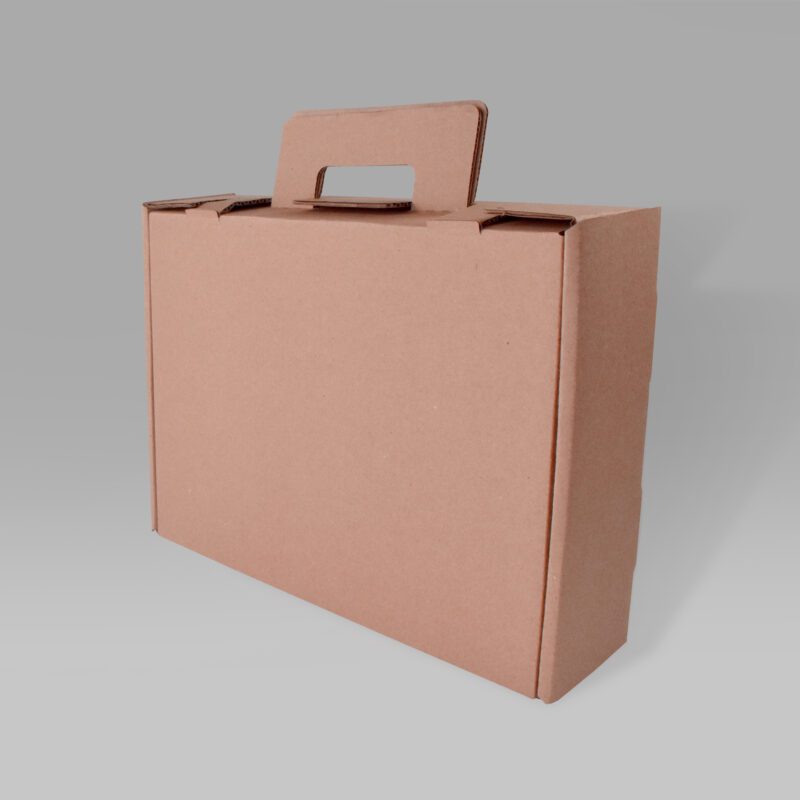 Maletín de Cartón 39x30x10 Maletín de cartón ecológico para carne y documentos