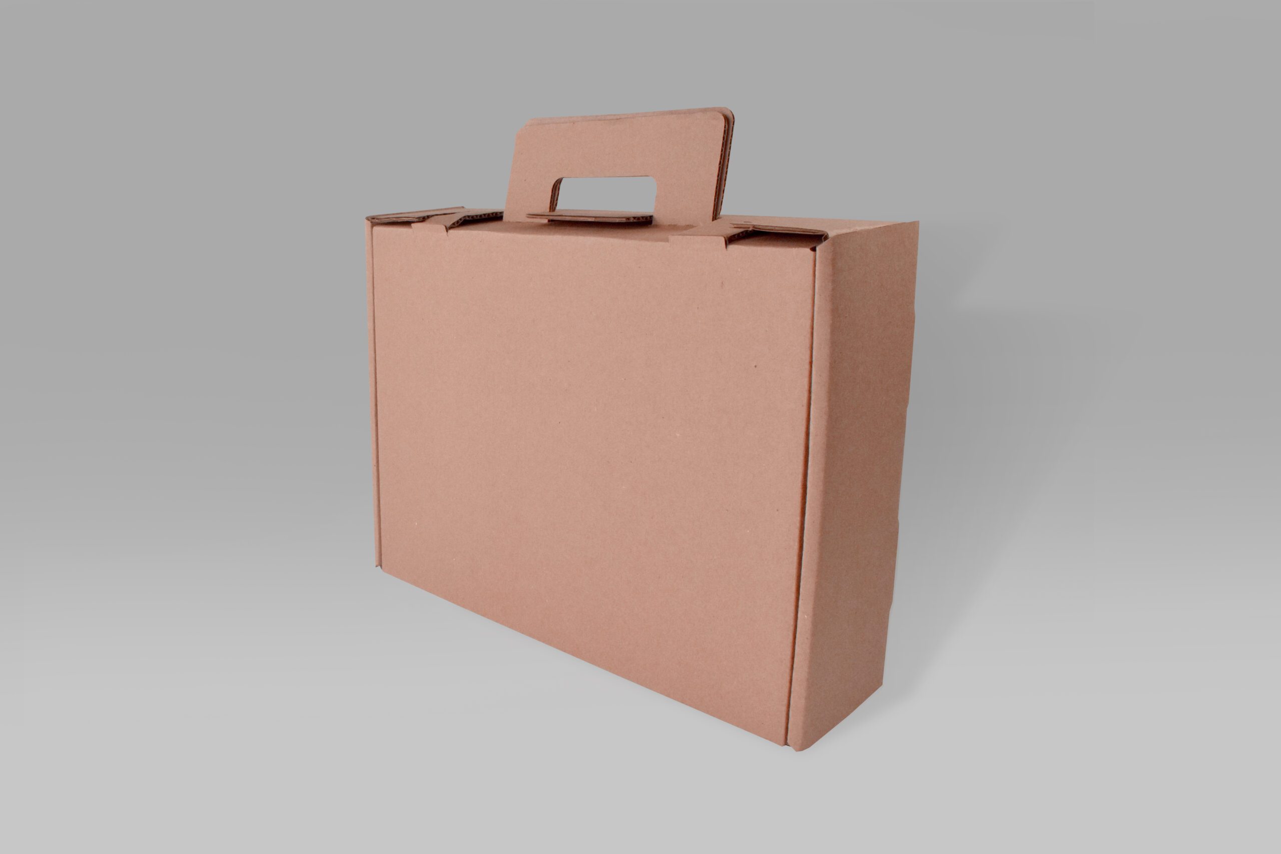 Maletín de Cartón 39x30x10 Maletín de cartón ecológico para carne y documentos