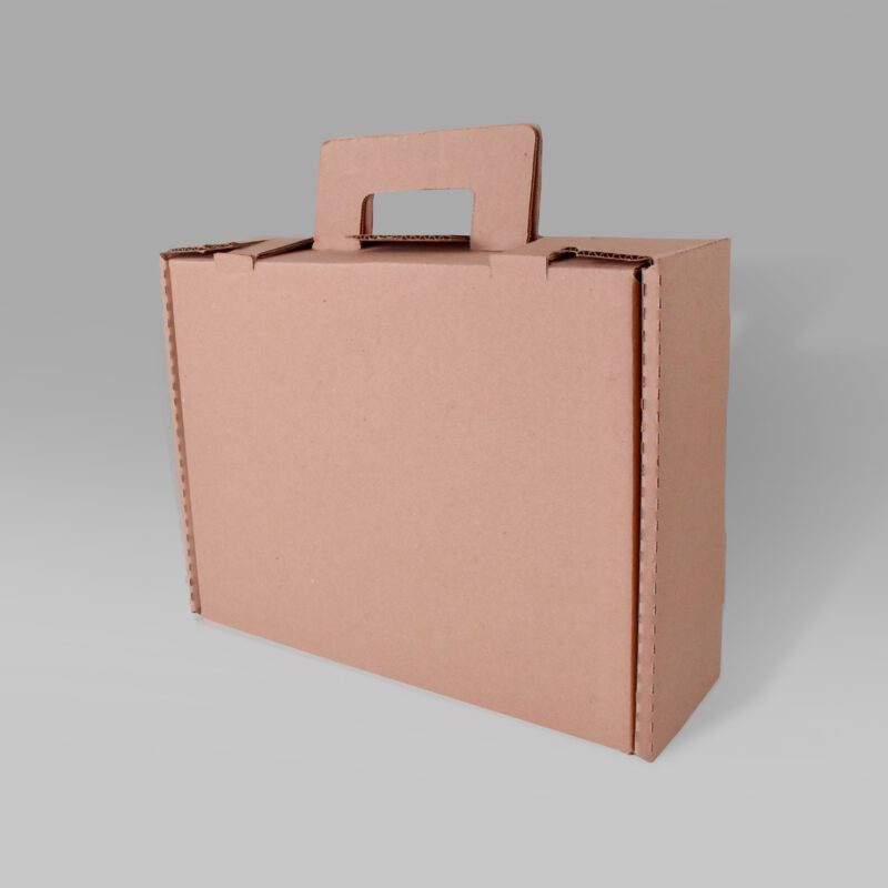 Maletín de Cartón 40.9x29.8x12.5 Maletín de cartón ecológico para carne y documentos