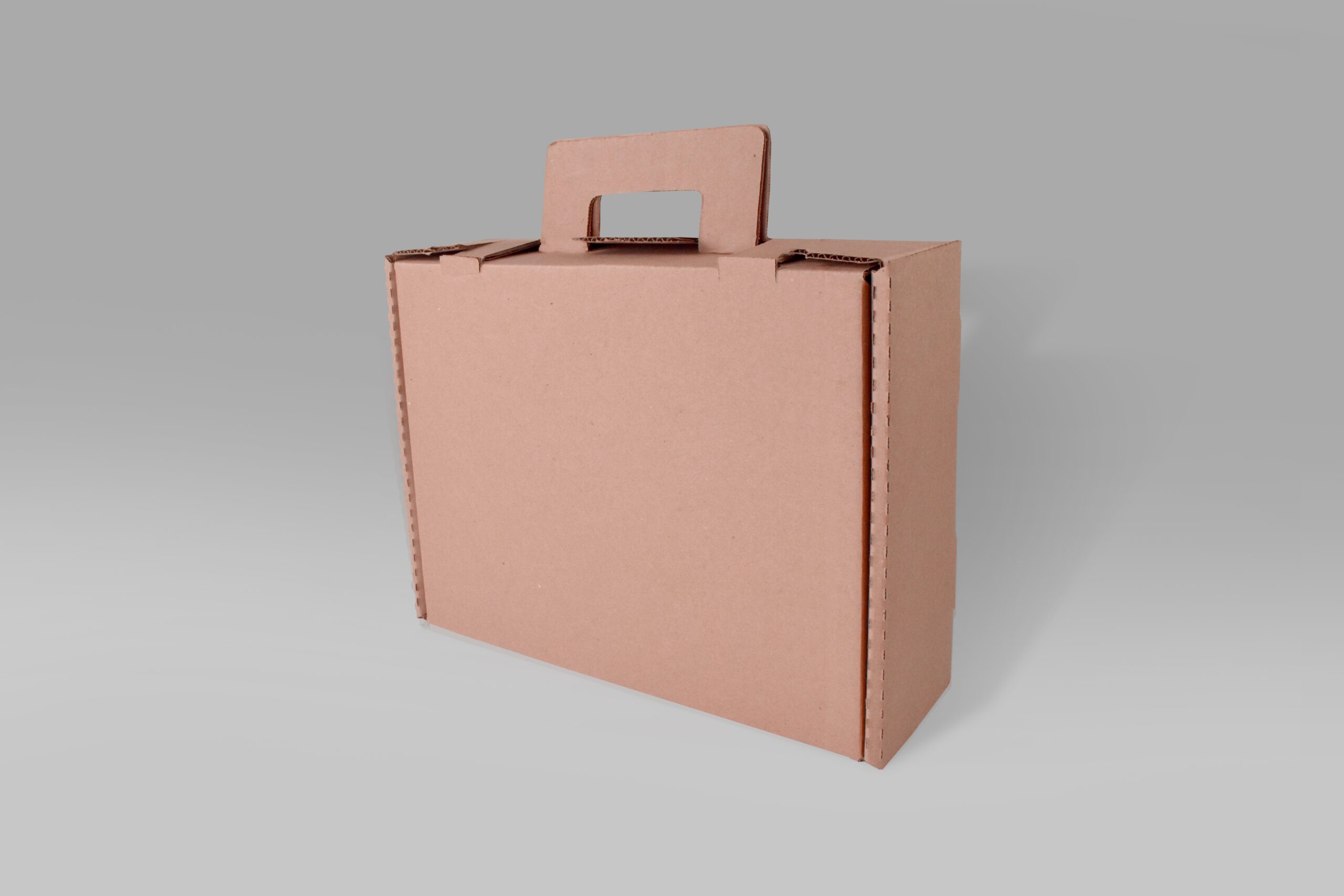 Maletín de Cartón 40.9x29.8x12.5 Maletín de cartón ecológico para carne y documentos