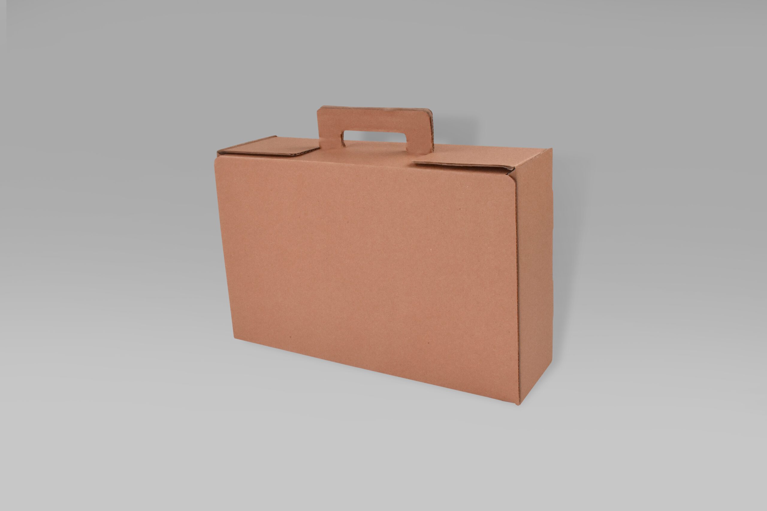 Maletín de Cartón 34.5x23x9.5 Maletín de cartón ecológico para carne y documentos