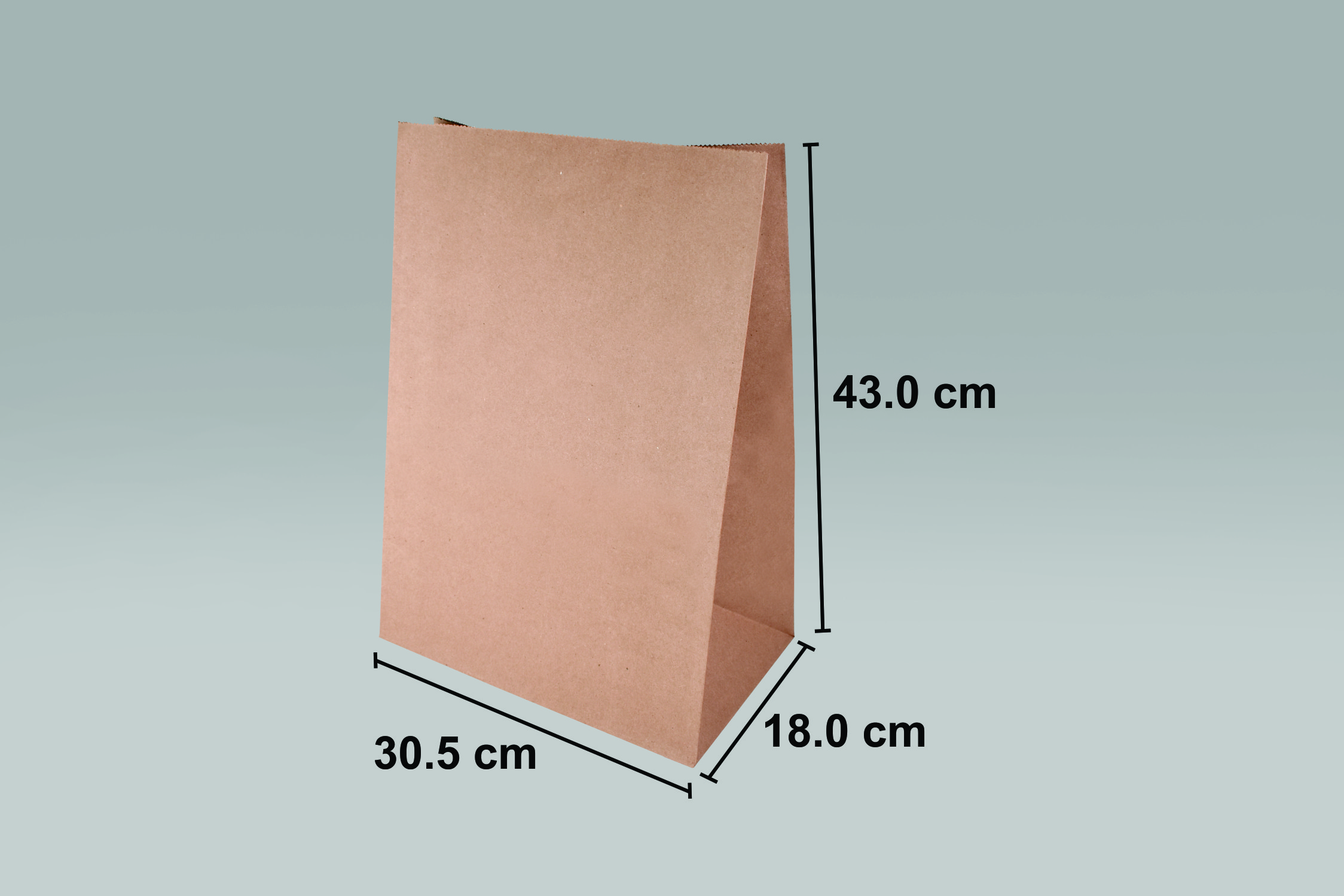 Bolsa de papel ecológica 1/6 para alimentos y negocios