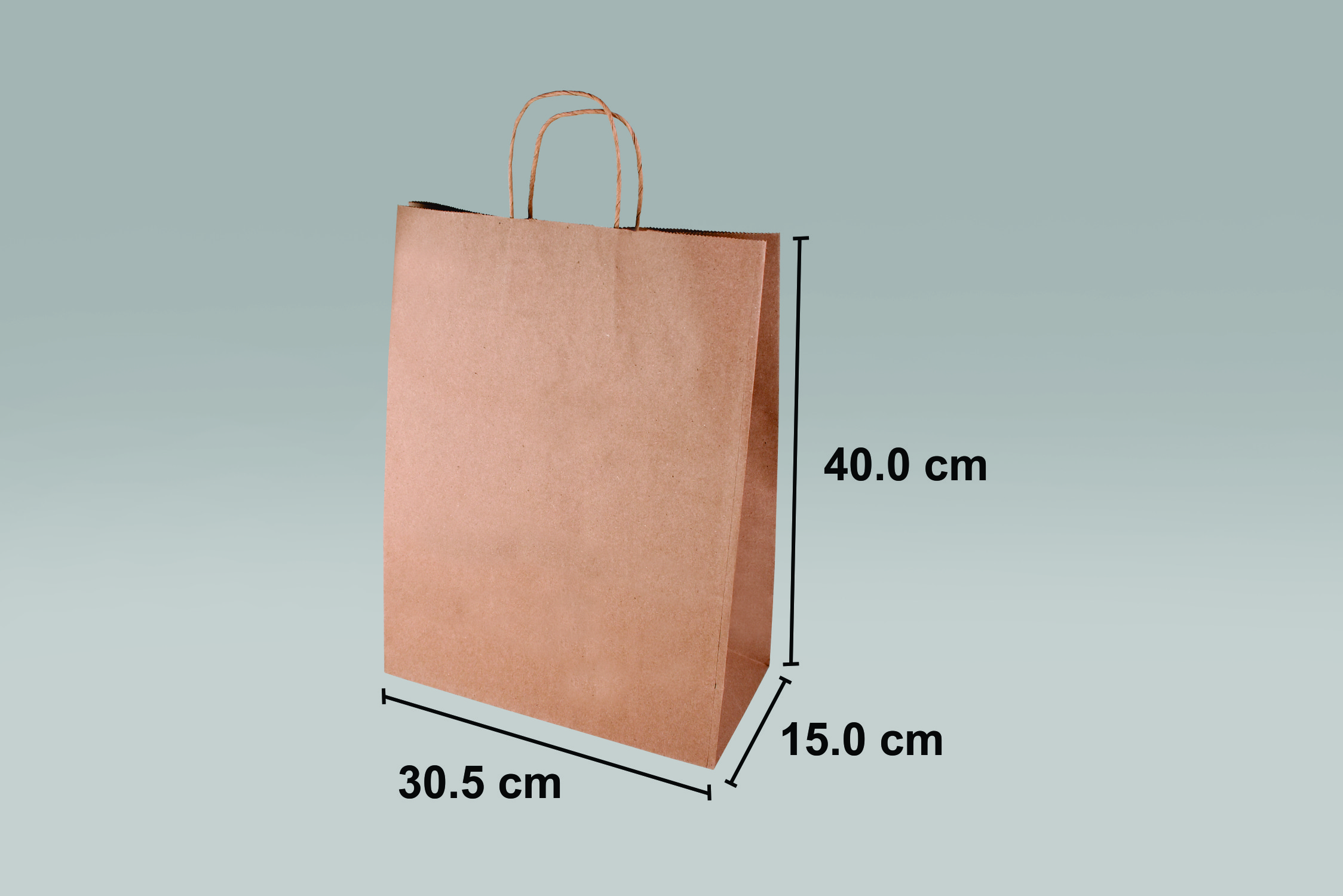 Bolsa de papel ecológica Abby para alimentos y negocios