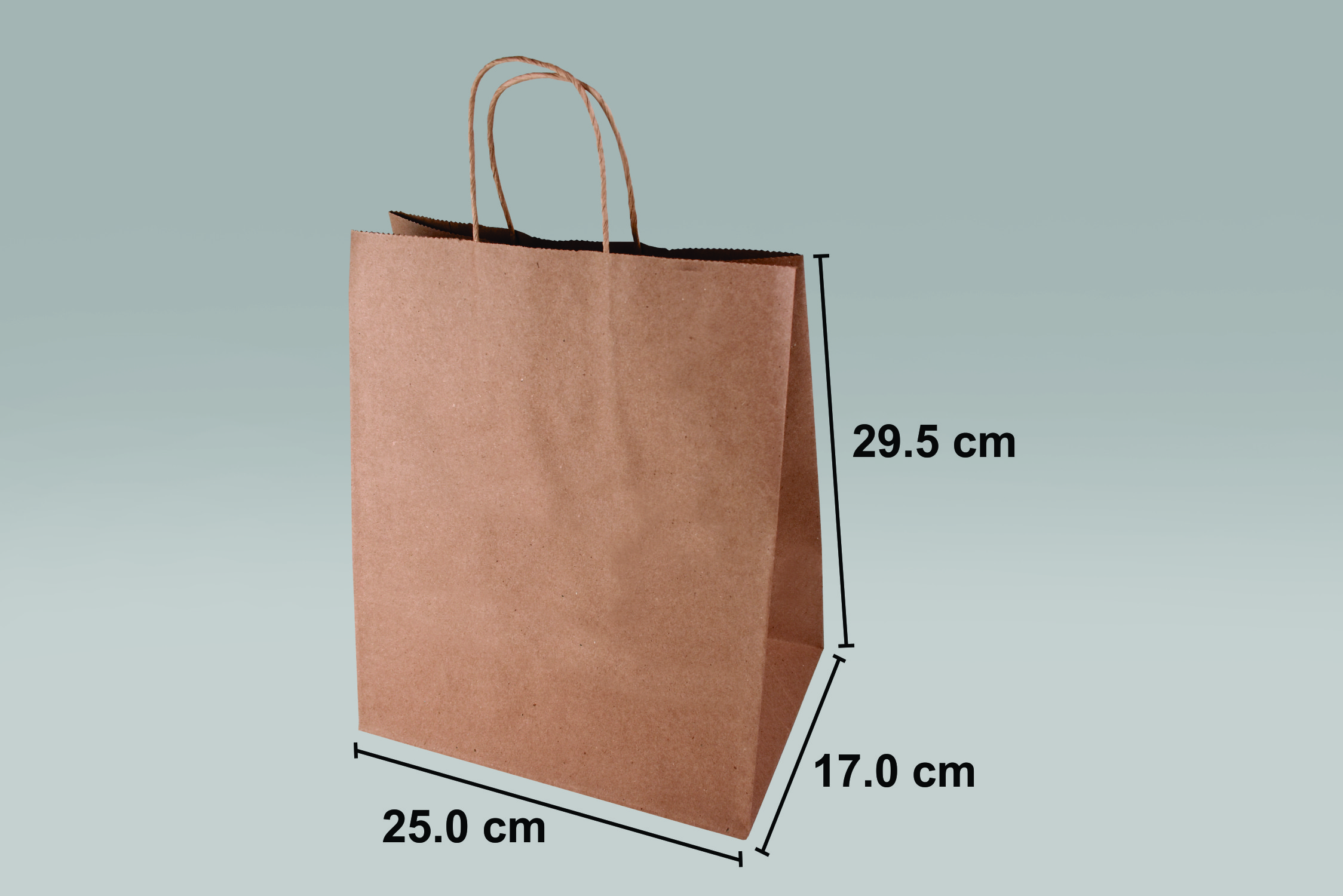 Bolsa de papel Bolsa de papel ecológica Bistro para alimentos y negocios