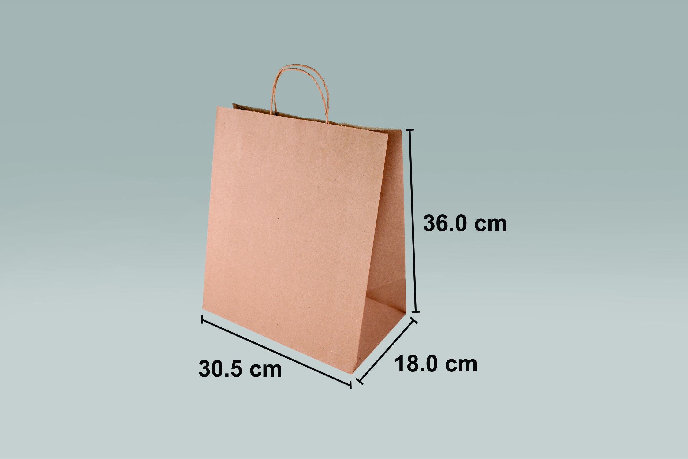 Bolsa de papel ecológica Star para alimentos y negocios