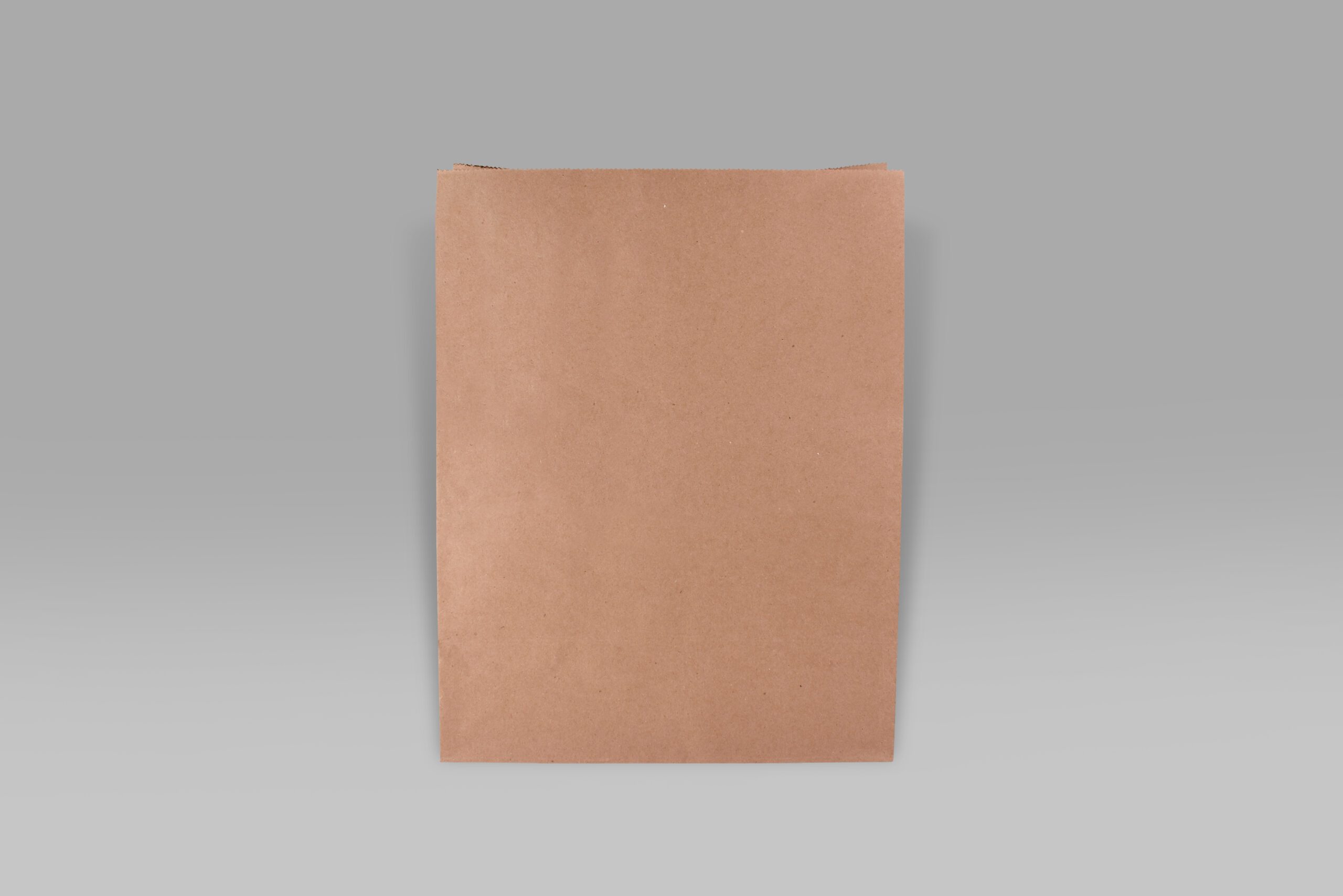 Bolsa de papel ecológica 1/6 para alimentos y negocios