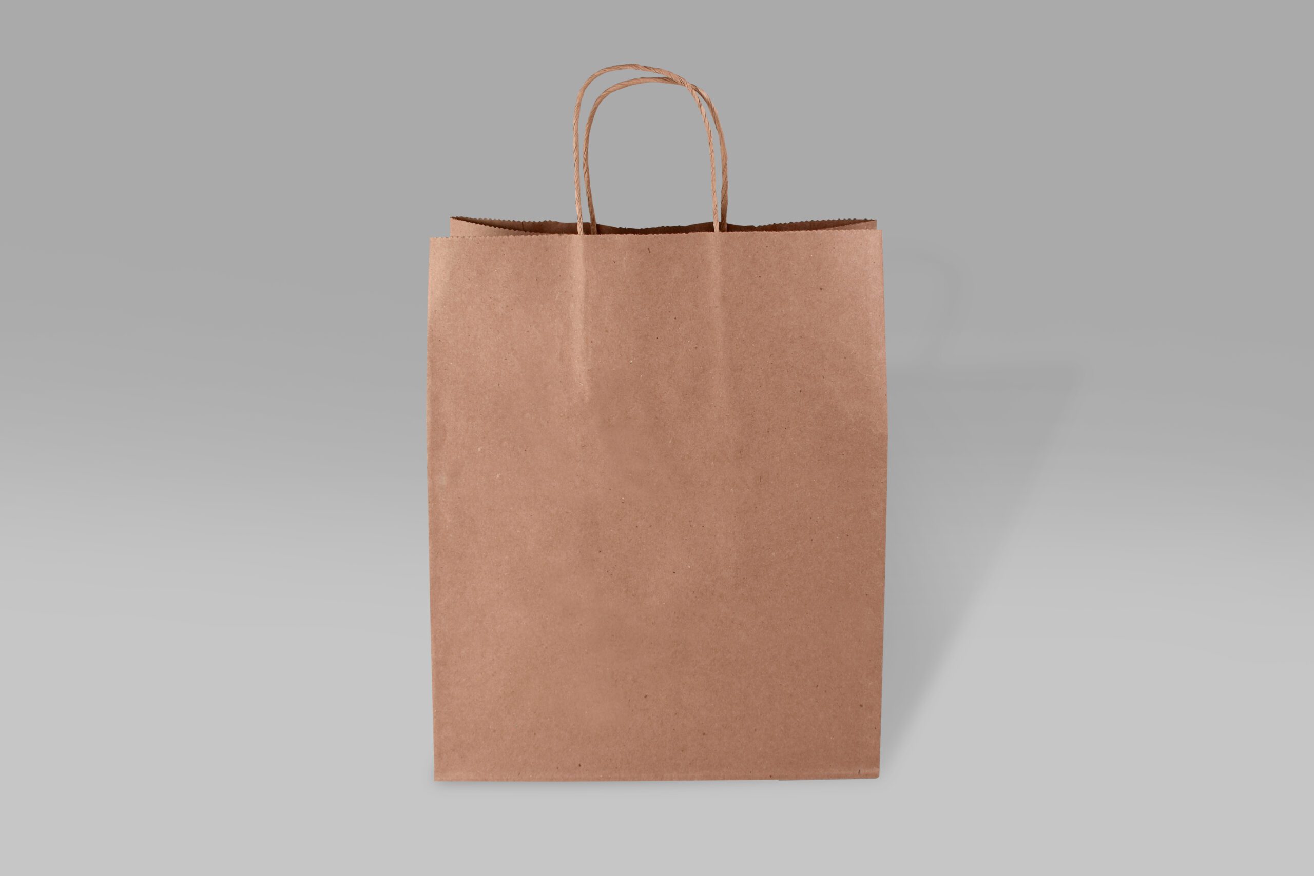 Bolsa de papel Bolsa de papel ecológica Bistro para alimentos y negocios