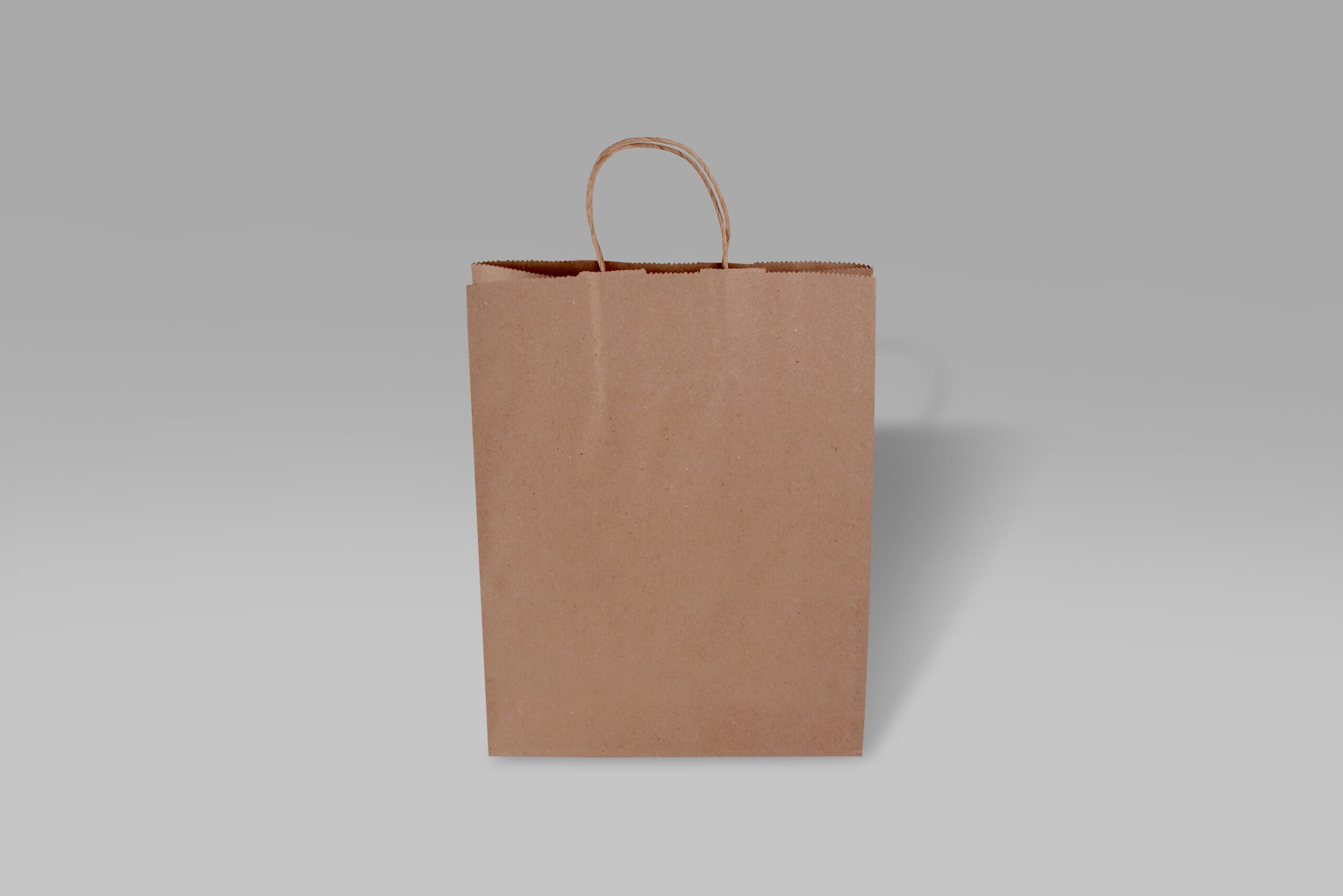 Bolsa de papel Bolsa de papel ecológica Debbie para alimentos y negocios