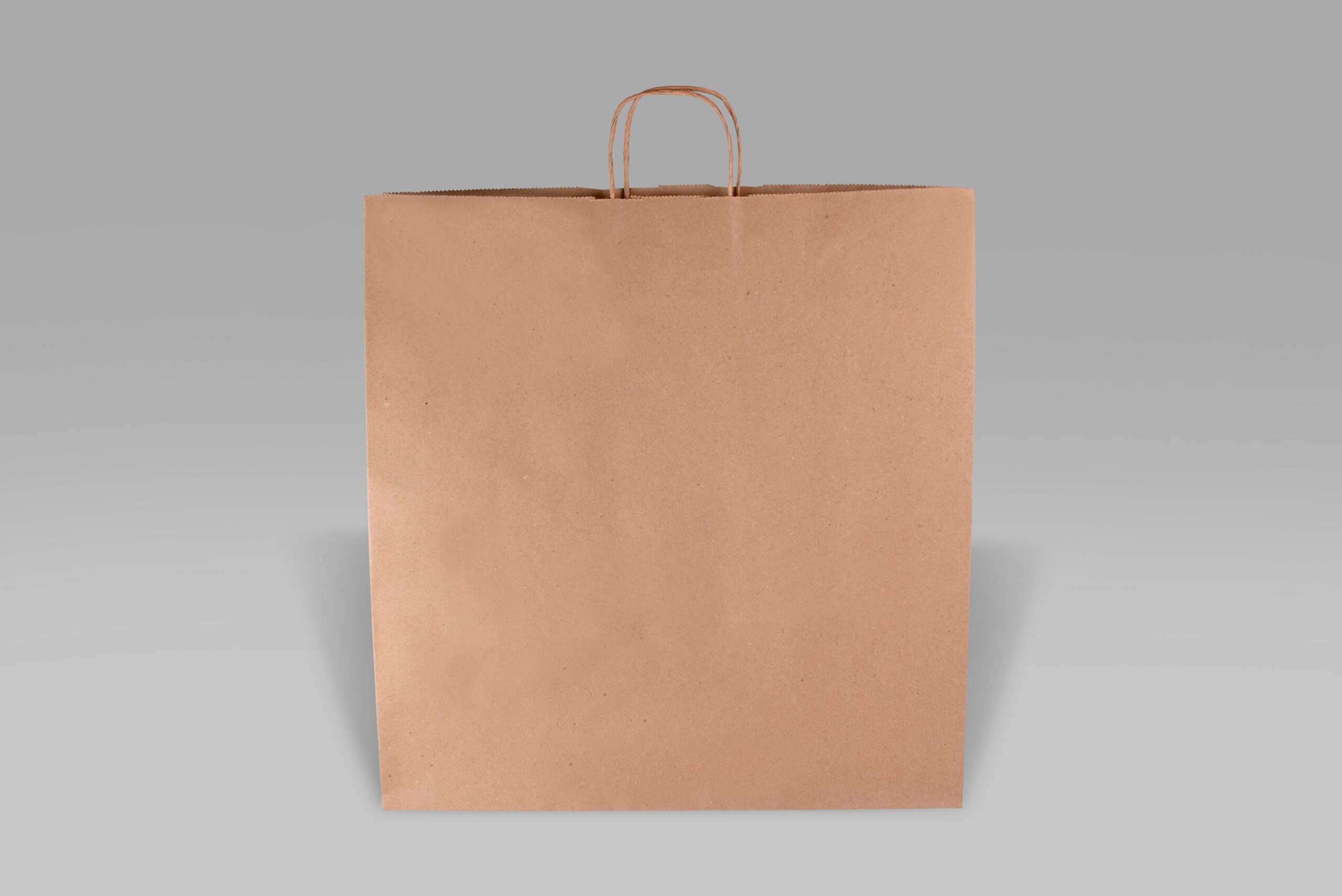 Bolsa de papel Bolsa de papel ecológica Jumbo para alimentos y negocios