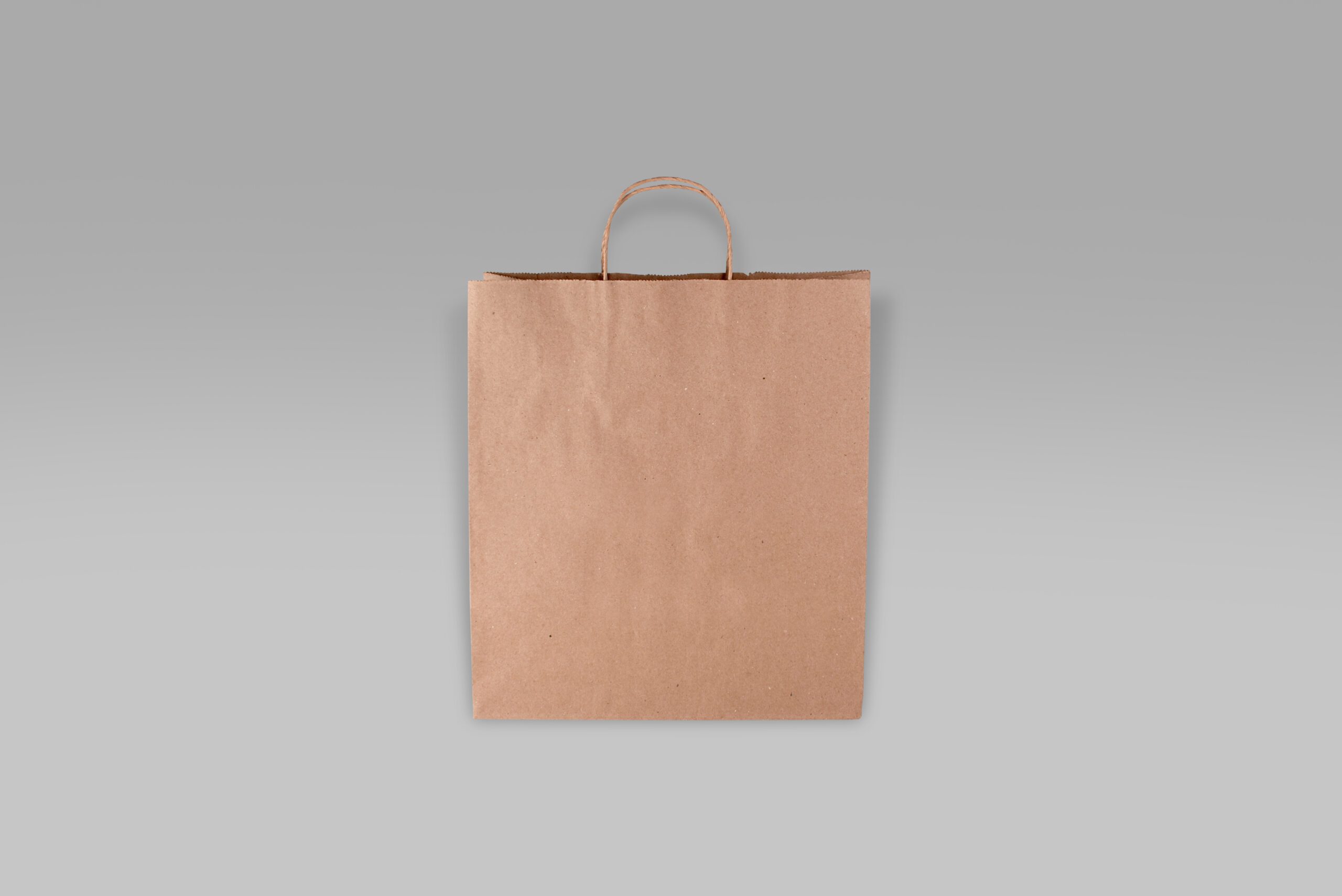 Bolsa de papel ecológica Star para alimentos y negocios